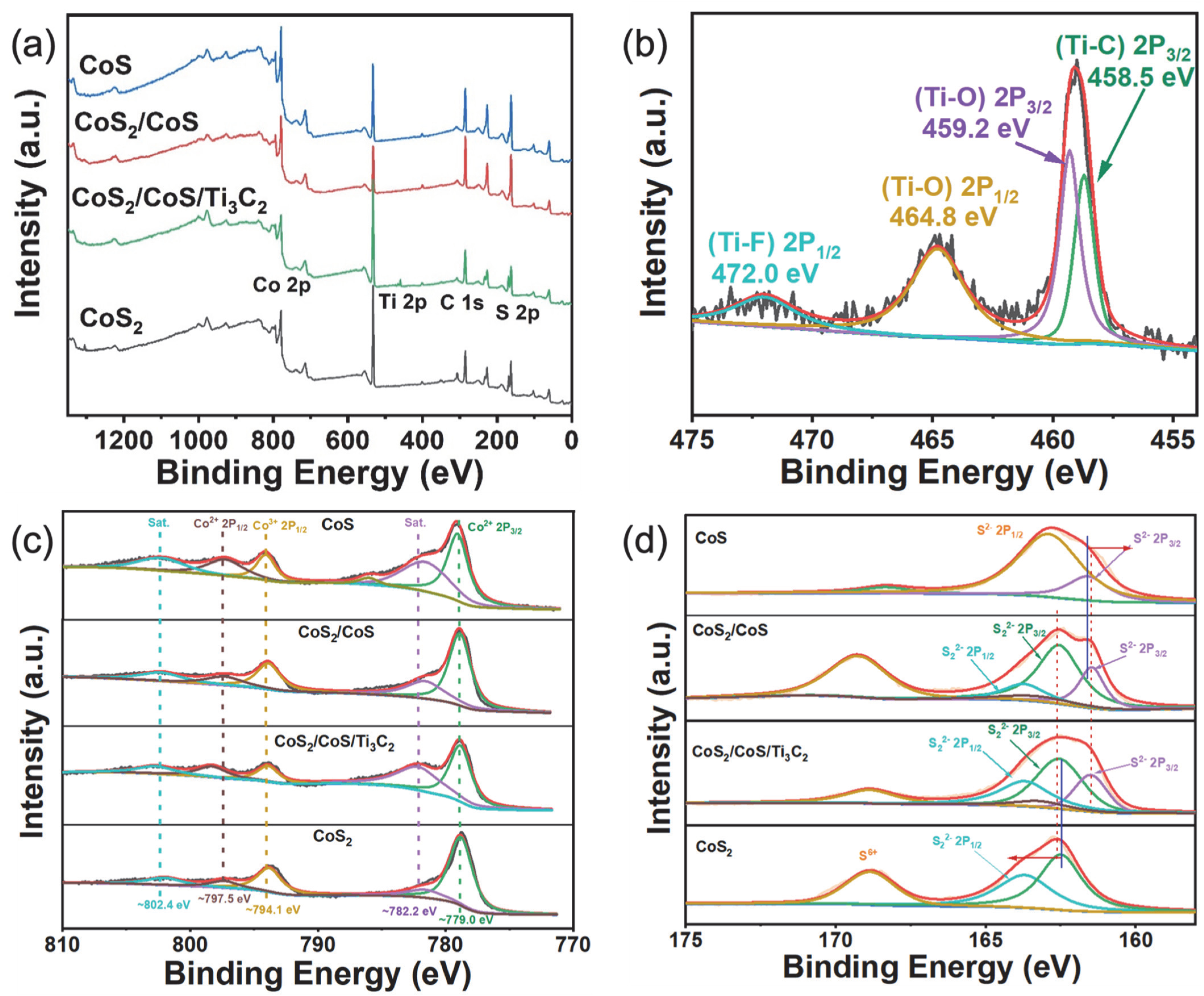 Catalysts 13 00253 g005