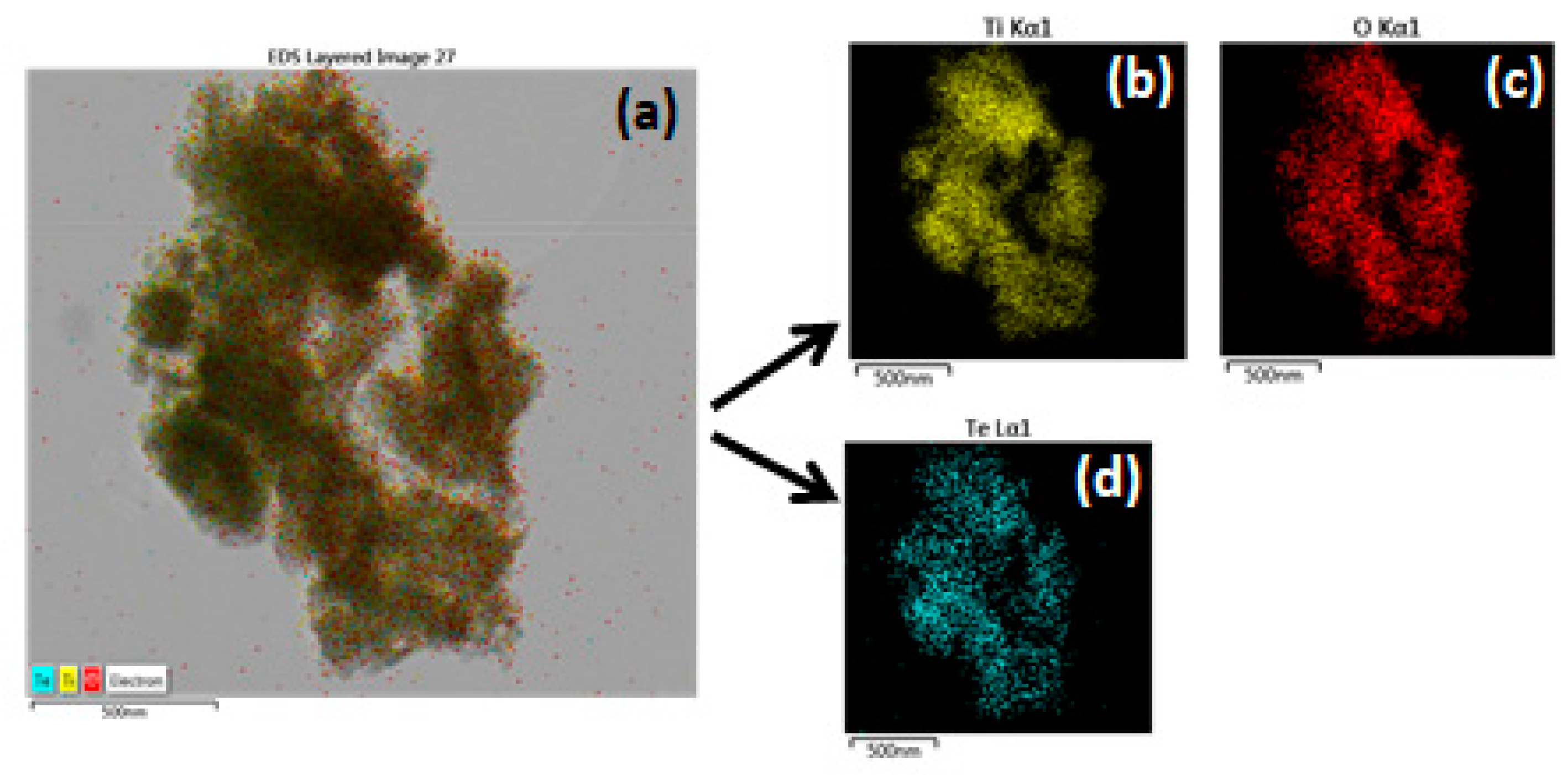 Catalysts 13 00257 g006
