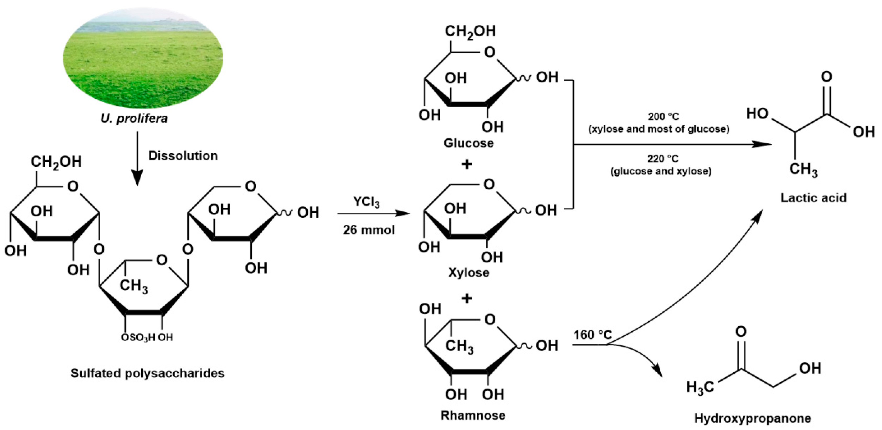 Catalysts 13 00262 g005