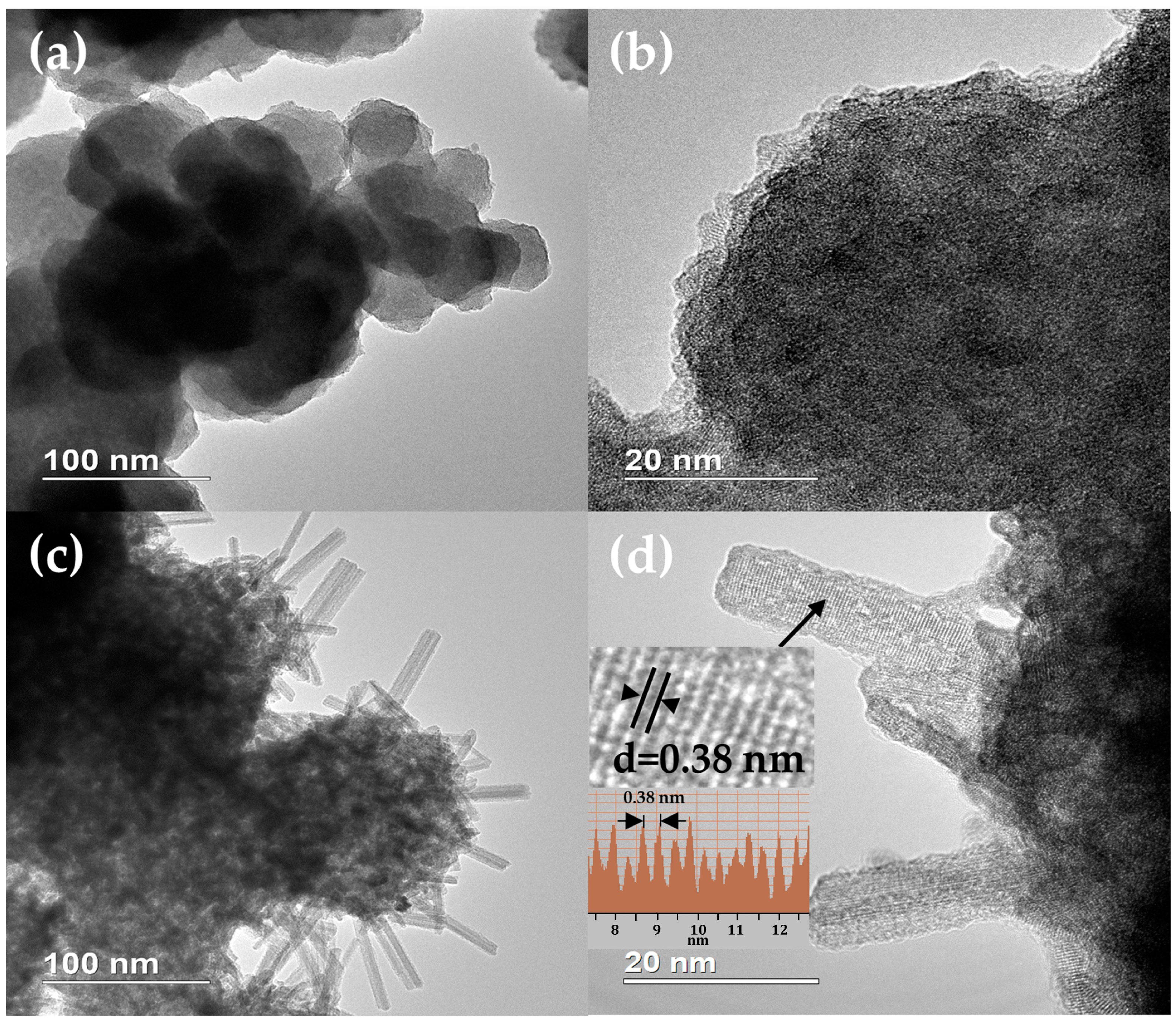 Catalysts 13 00263 g004