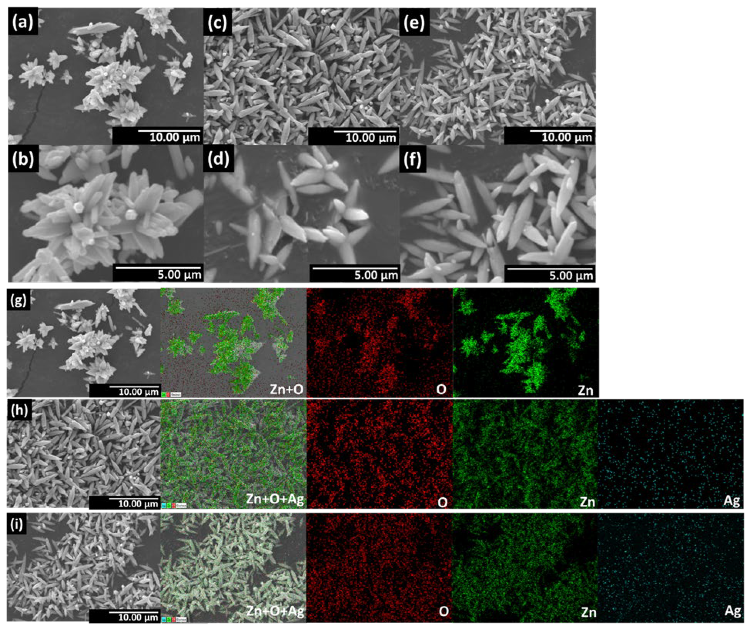 Catalysts 13 00265 g004