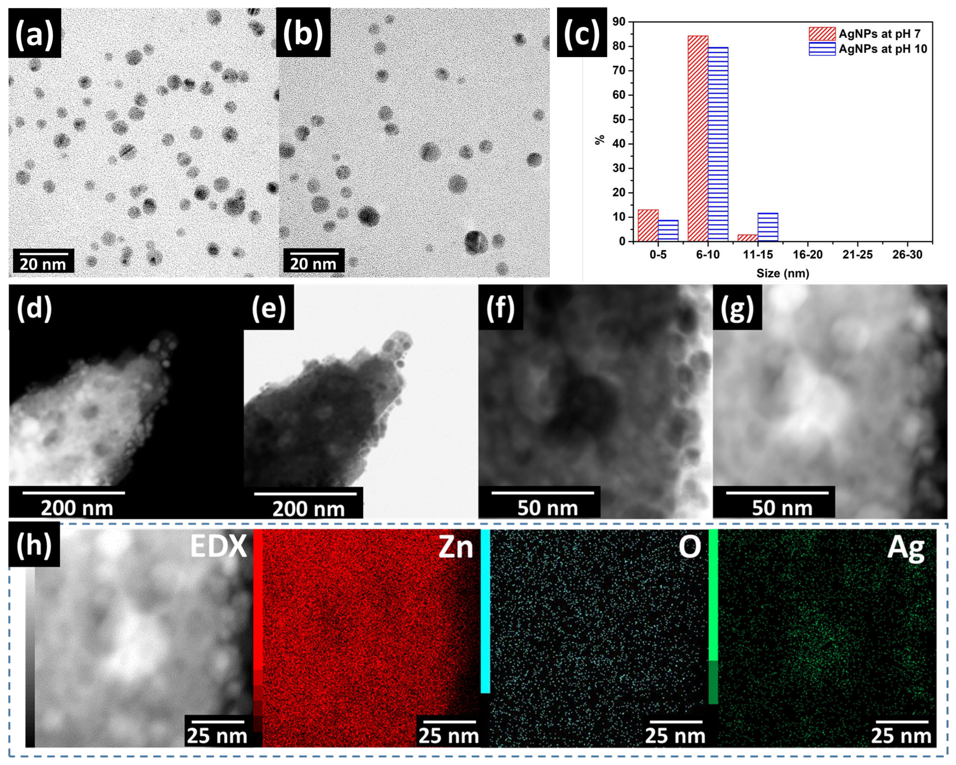Catalysts 13 00265 g005