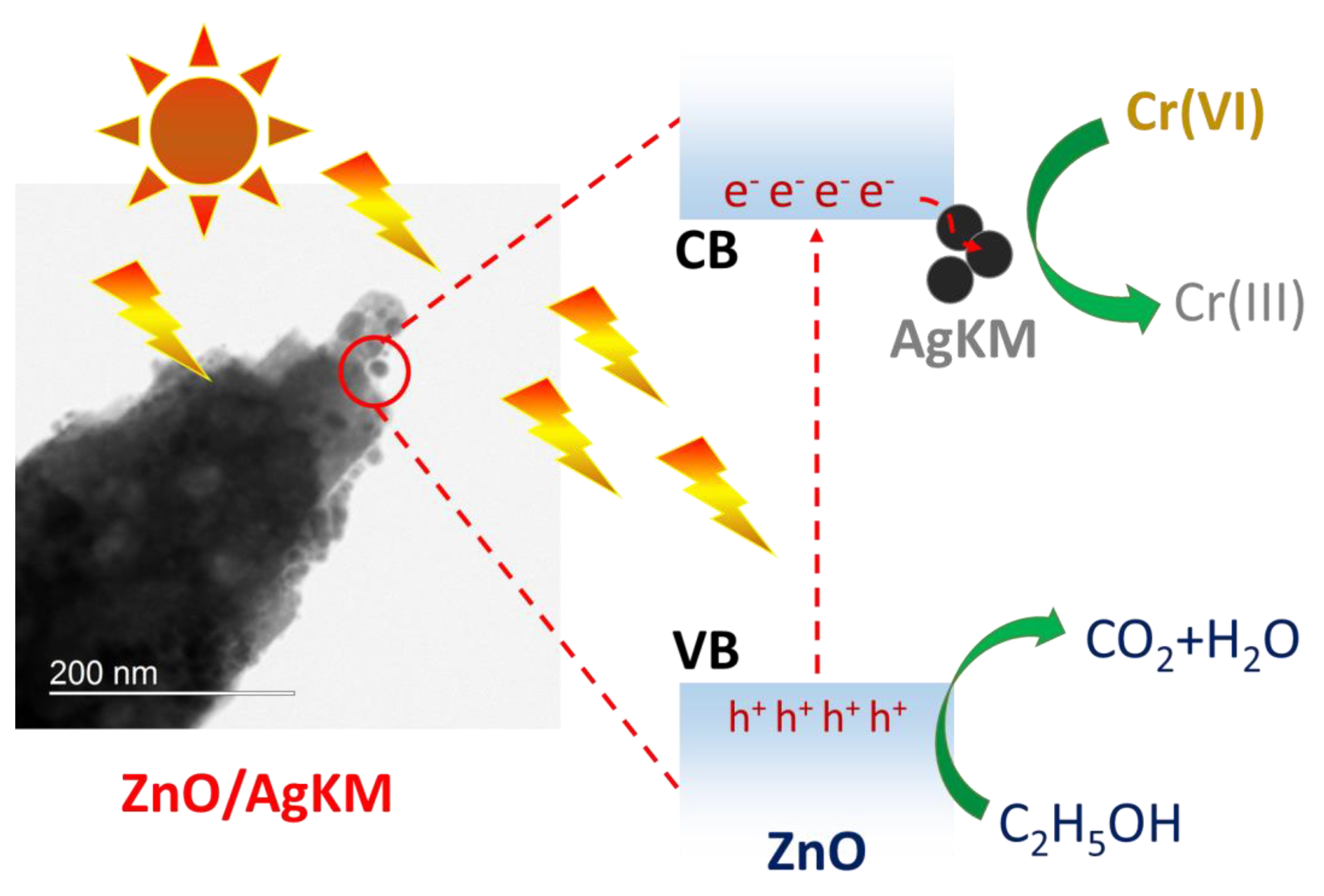 Catalysts 13 00265 sch001