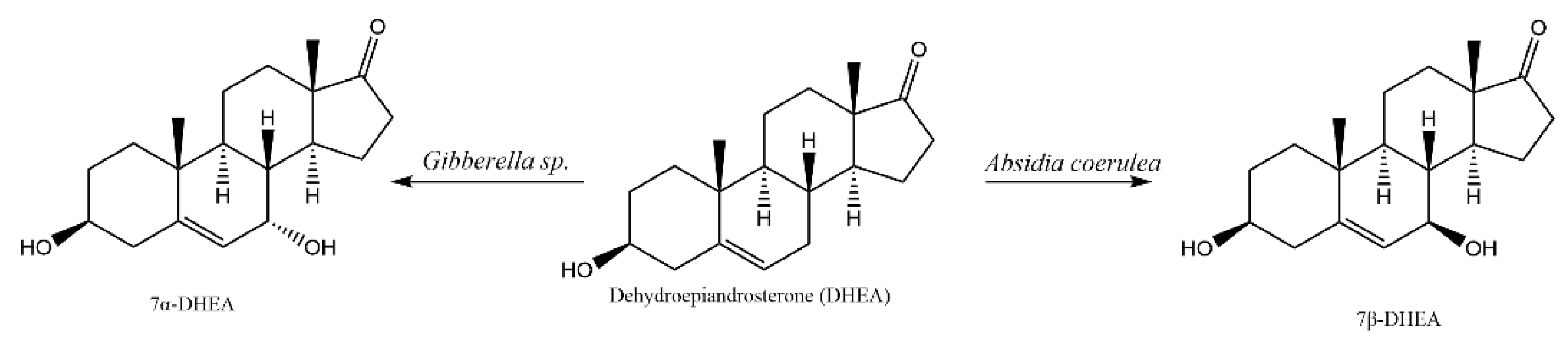 Catalysts 13 00272 g001