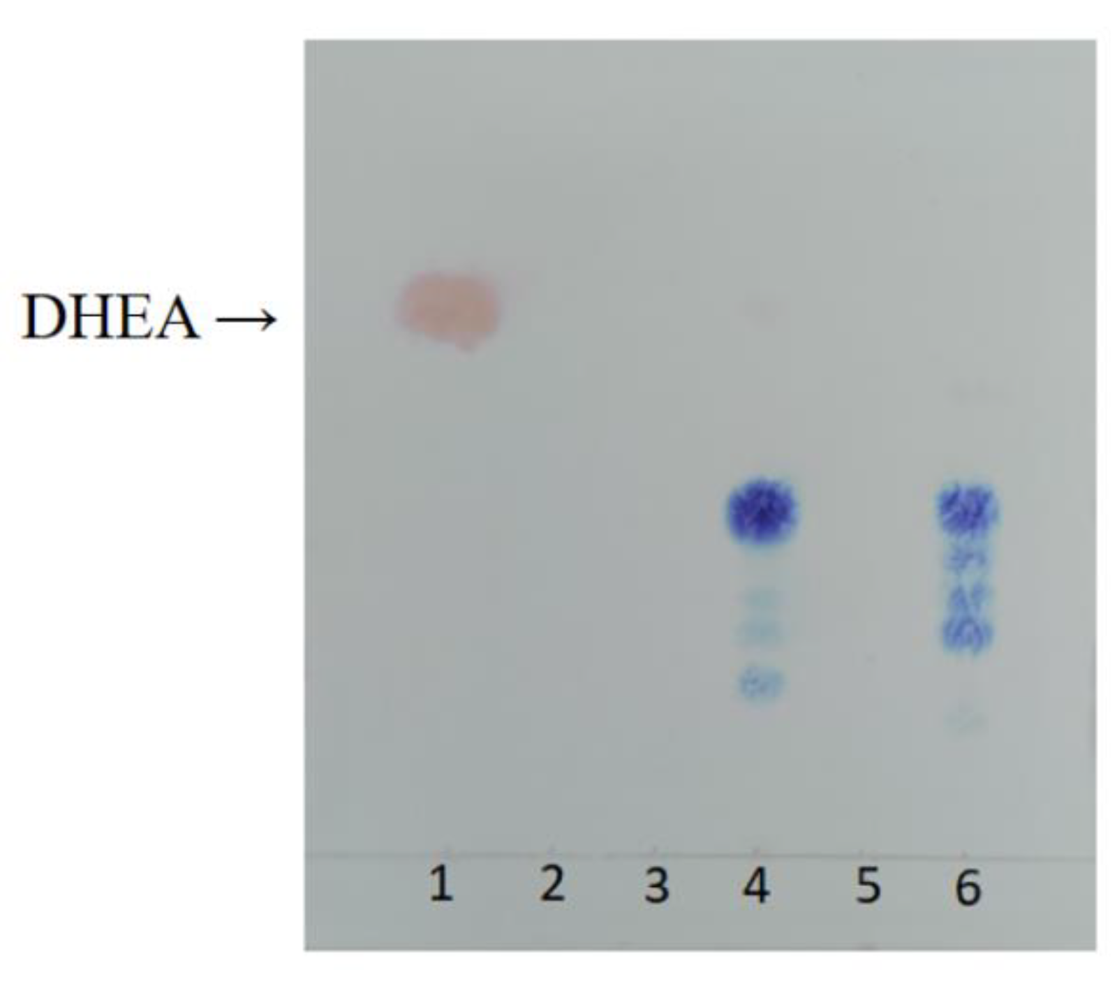 Catalysts 13 00272 g002