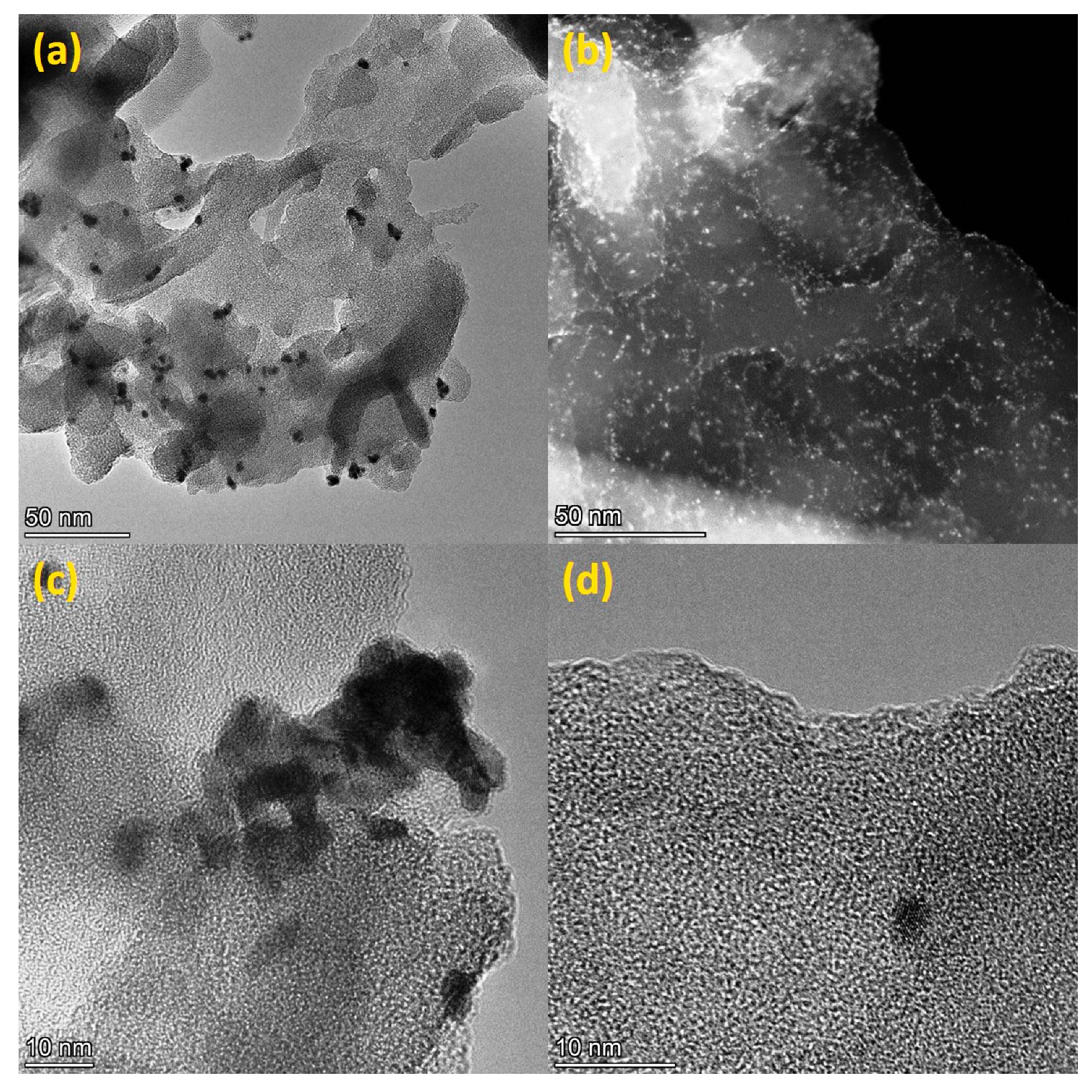 Catalysts 13 00273 g003 Catalysts 13 00273 g003