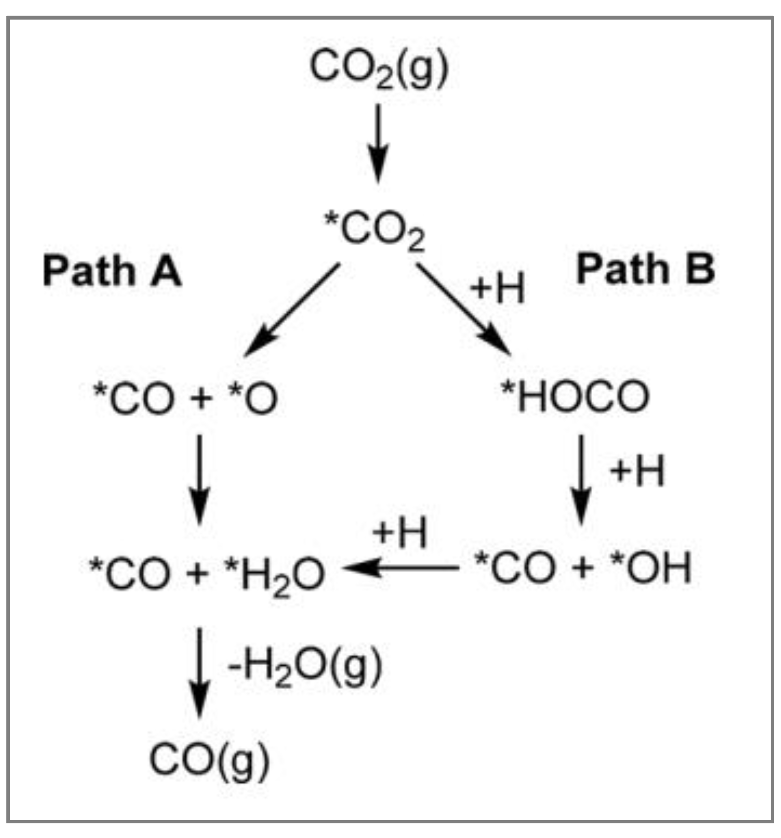 Catalysts 13 00275 g021