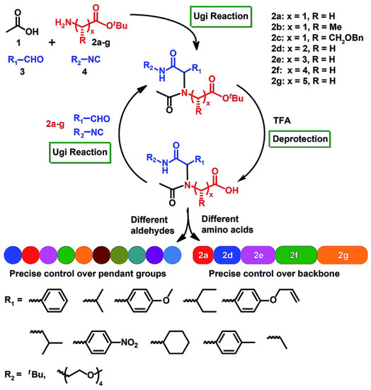 A Review on the Synthesis of Polypeptoids
