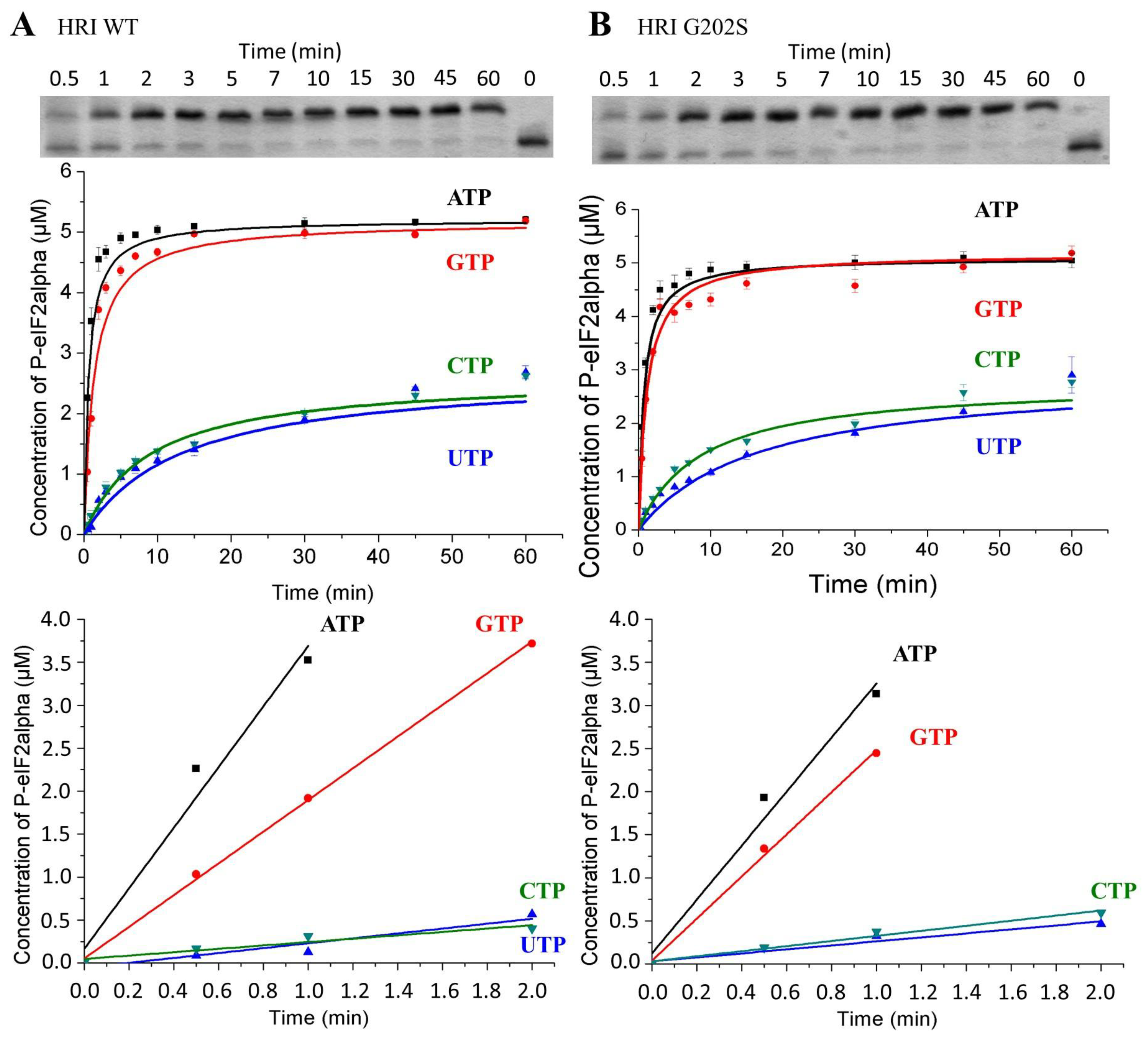 Catalysts 13 00281 g001