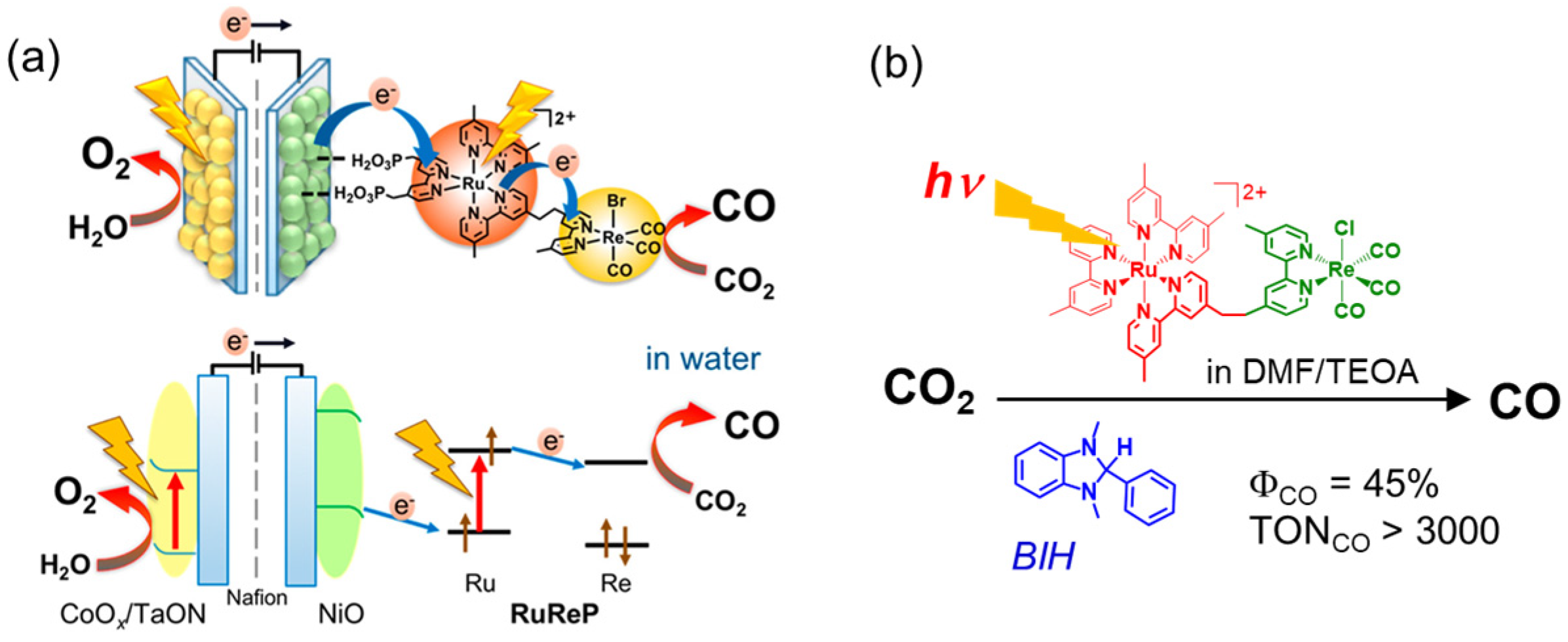 Catalysts 13 00282 g001 Catalysts 13 00282 g001