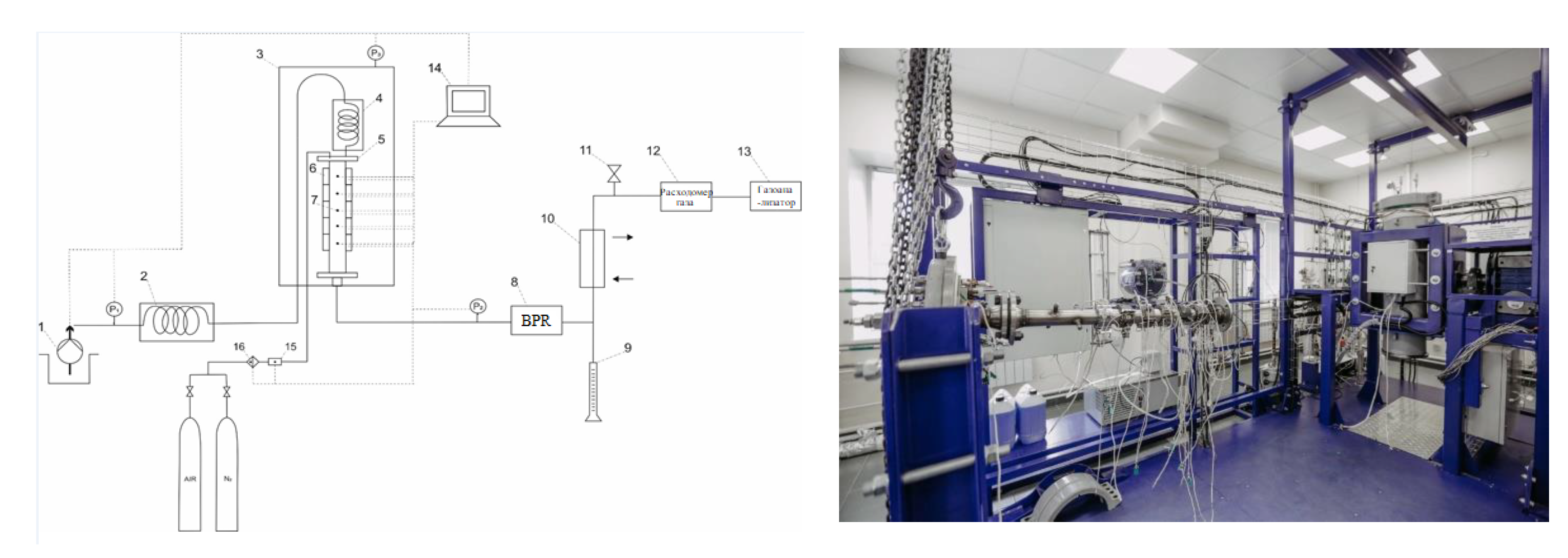 Catalysts 13 00283 g008