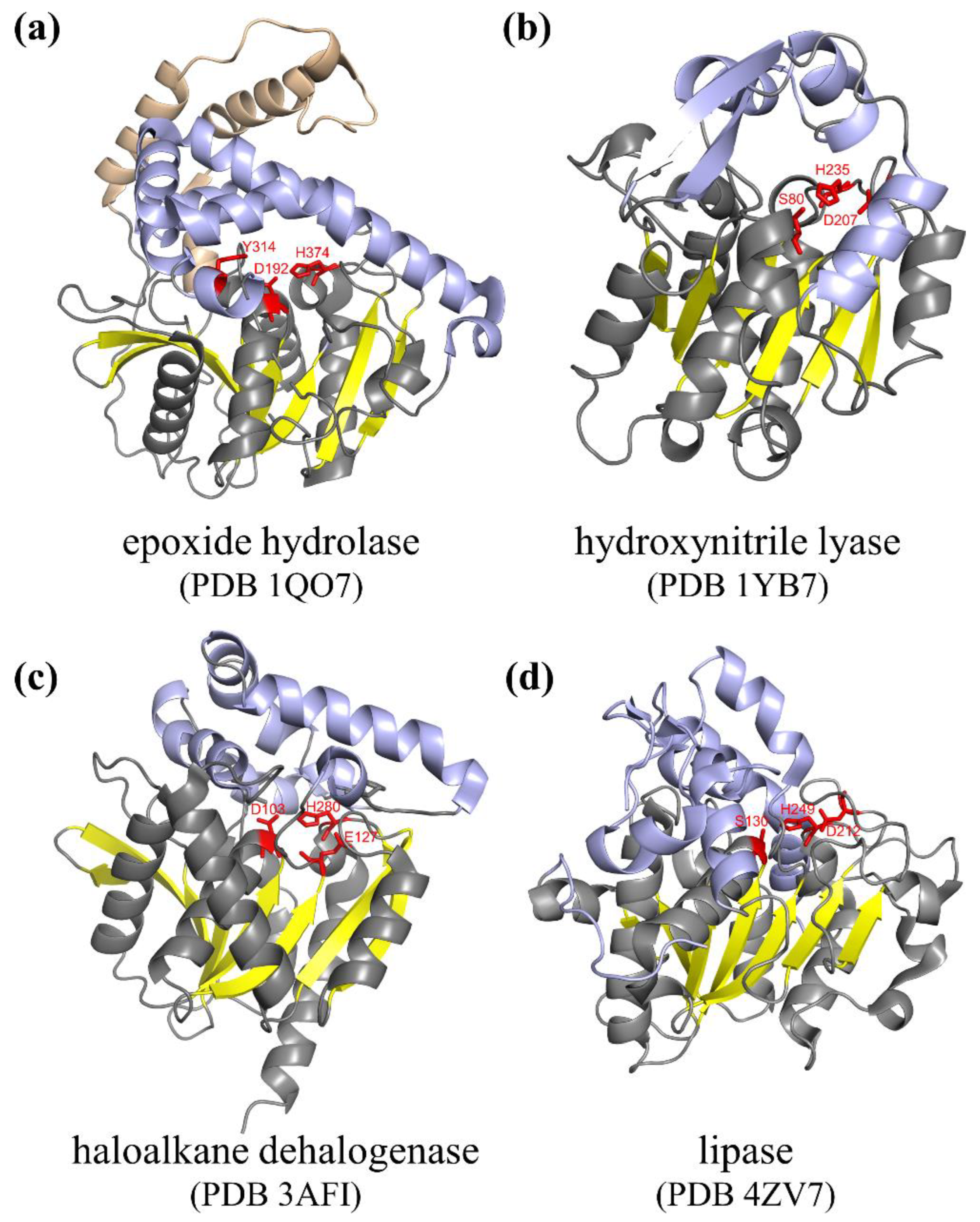 Catalysts 13 00288 g001