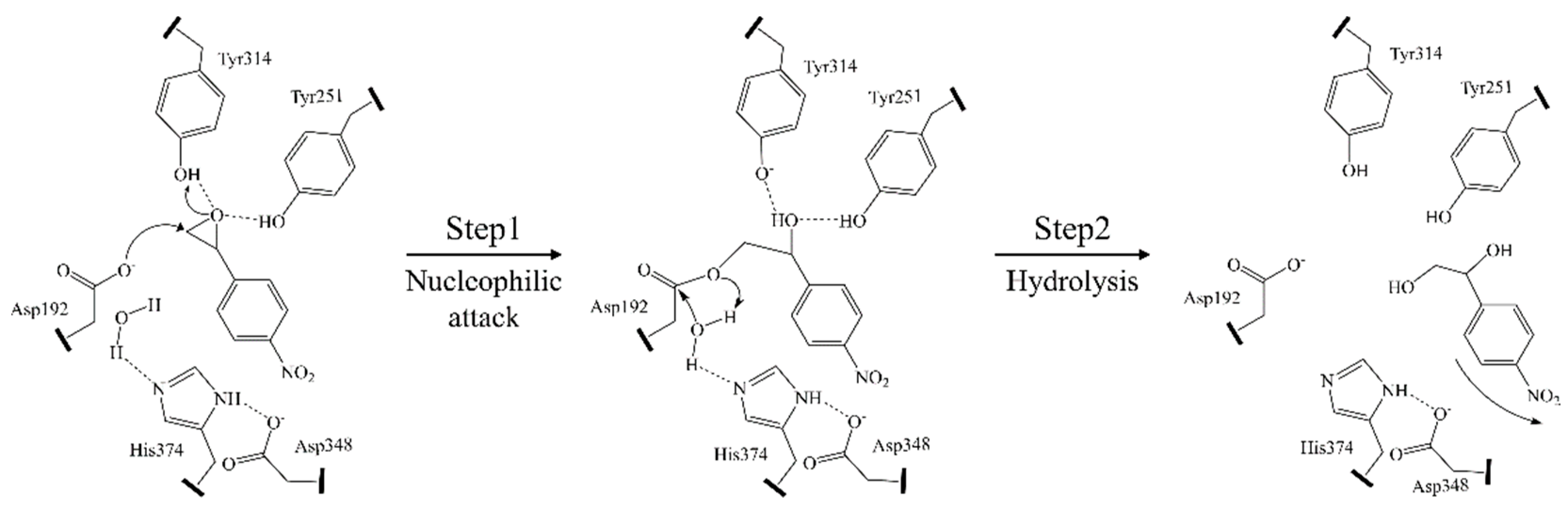 Catalysts 13 00288 g002