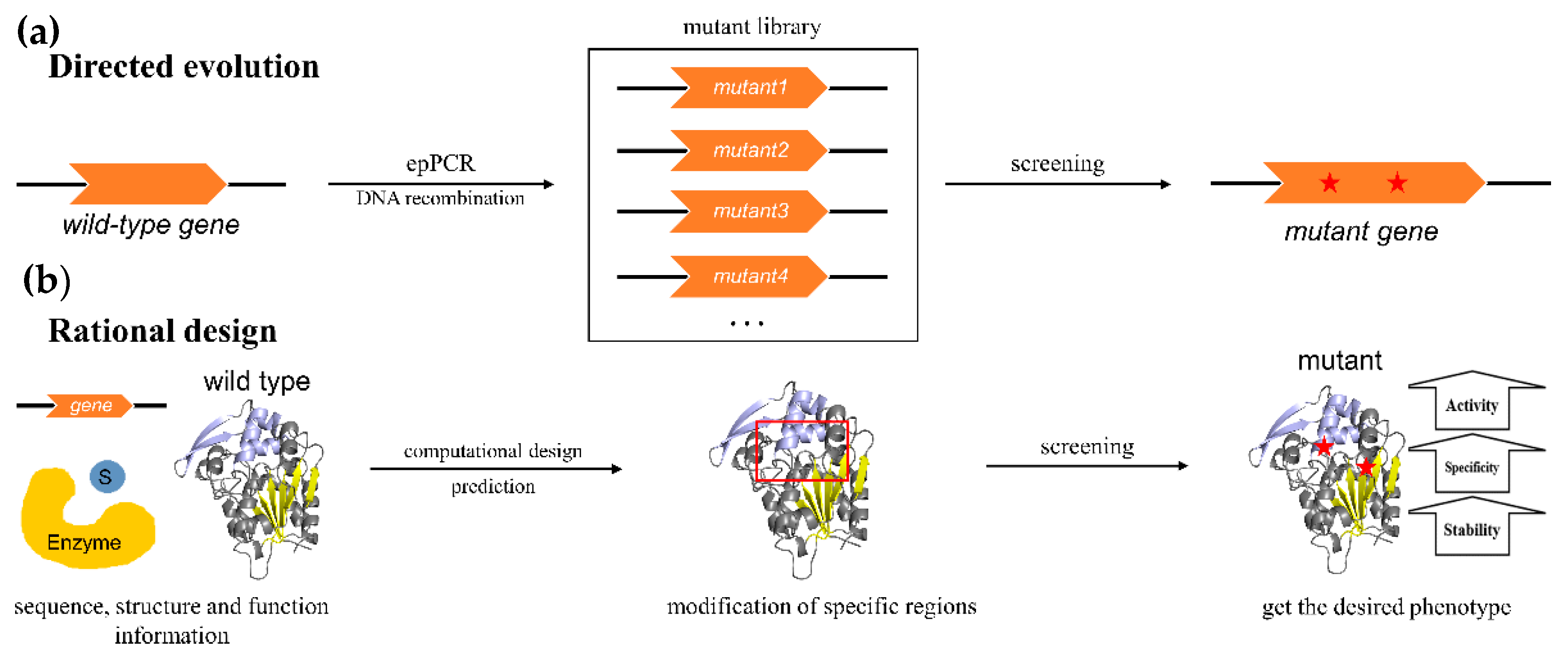 Catalysts 13 00288 g003