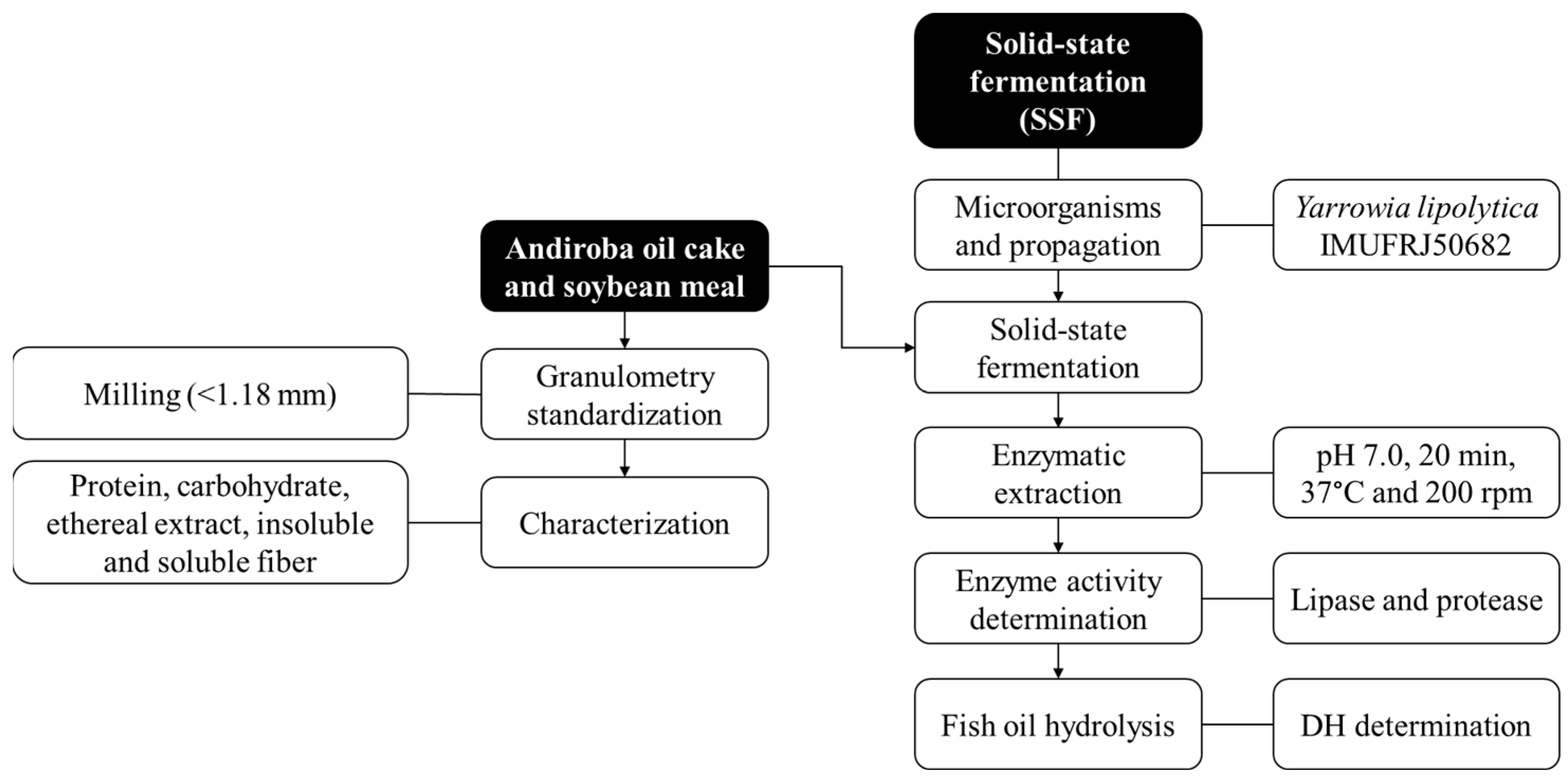 Catalysts 13 00289 g001