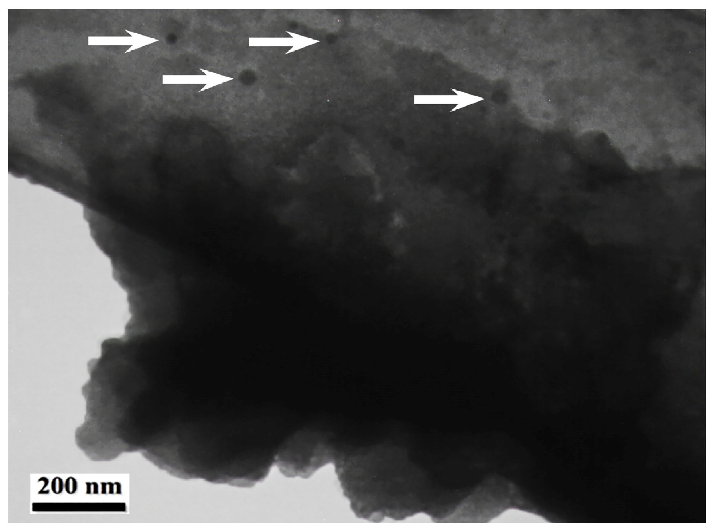 Catalysts 13 00290 g003