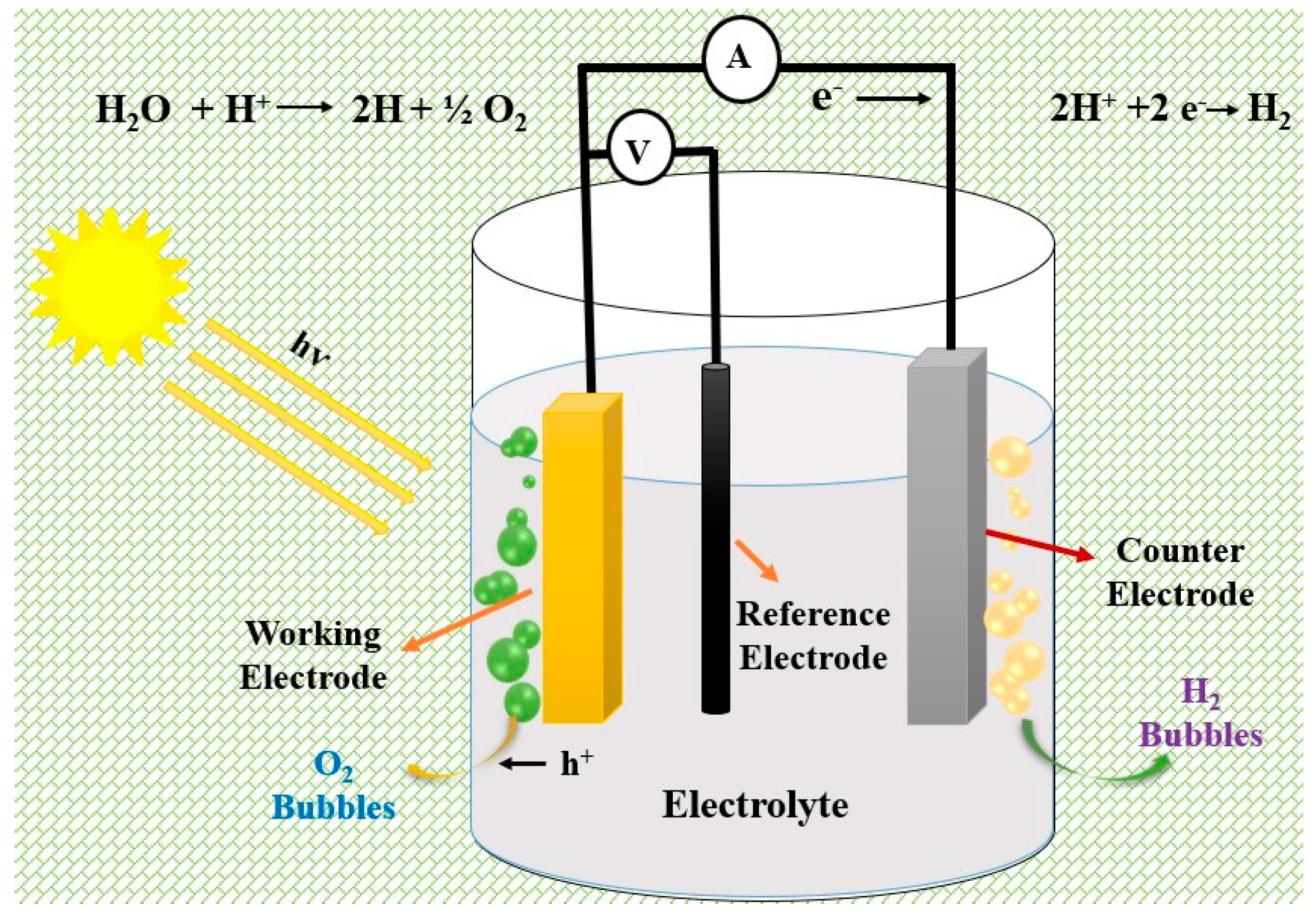 Catalysts 13 00295 g013 Catalysts 13 00295 g013