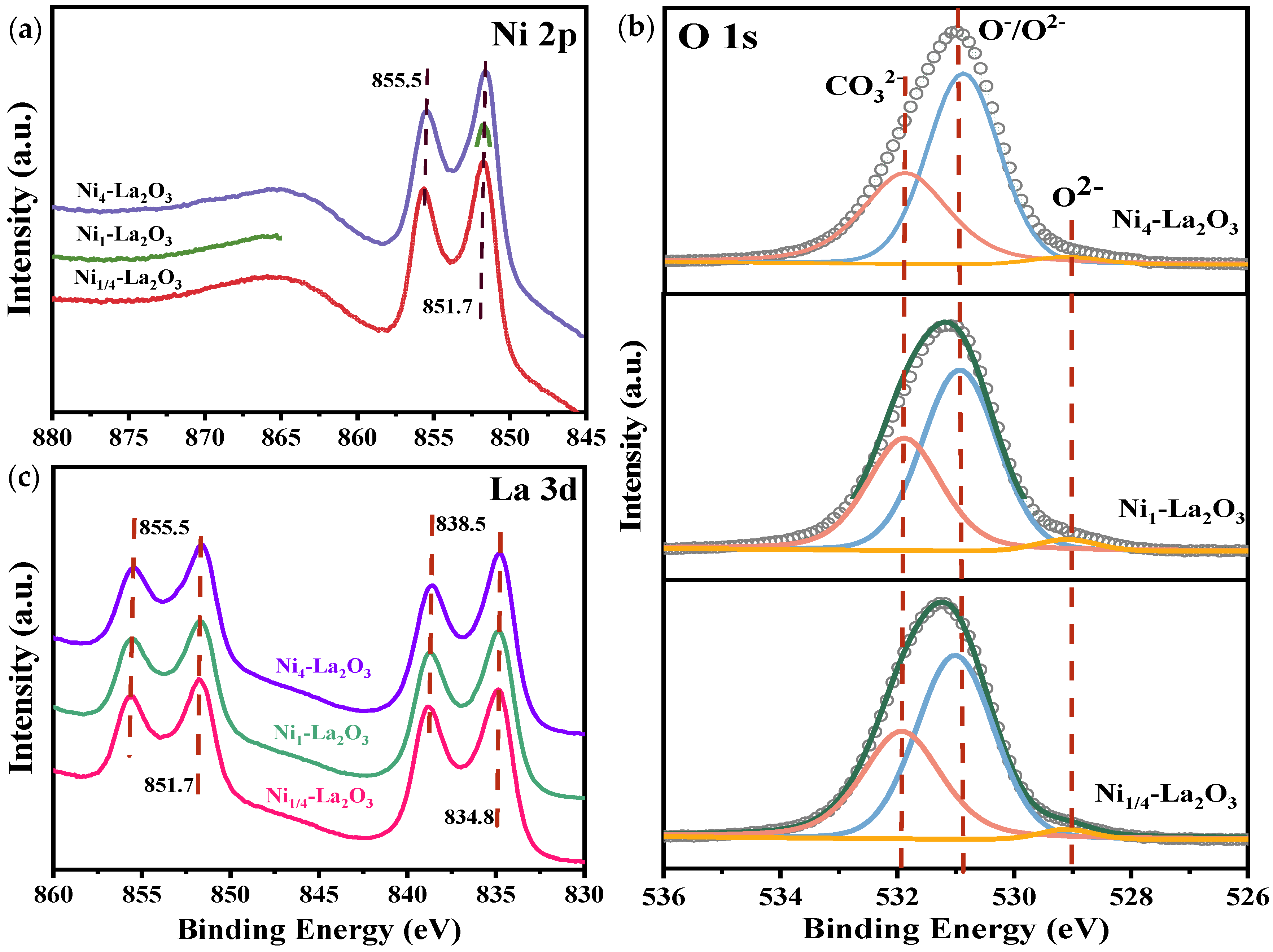 Catalysts 13 00298 g002 Catalysts 13 00298 g002