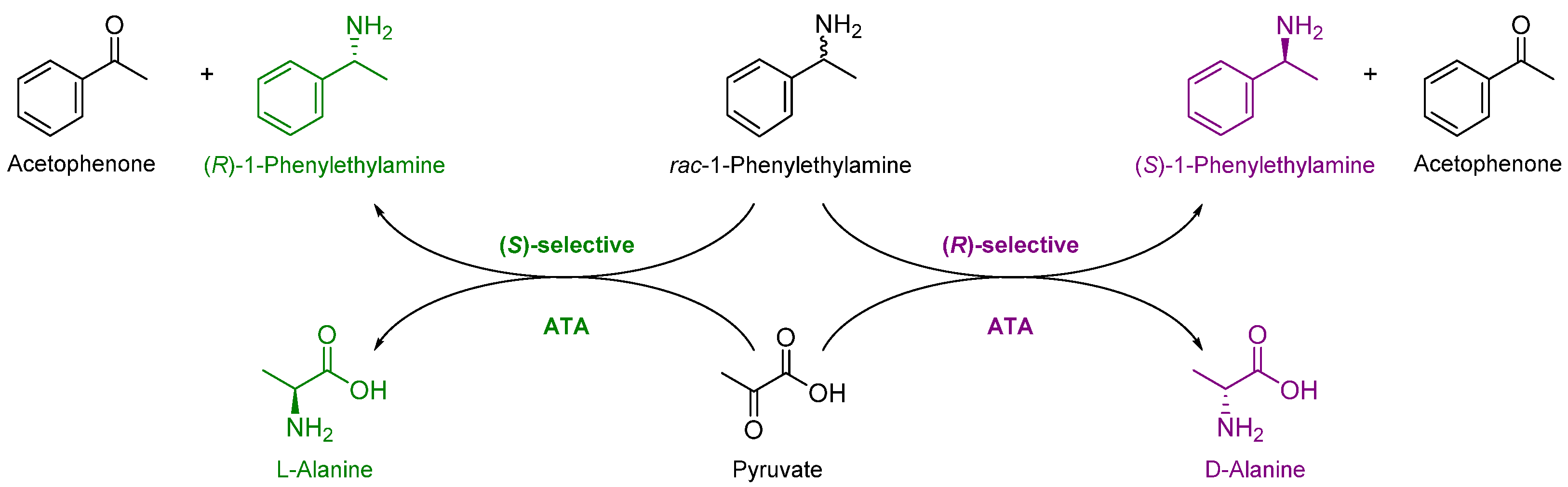 Catalysts 13 00300 sch001 Catalysts 13 00300 sch001