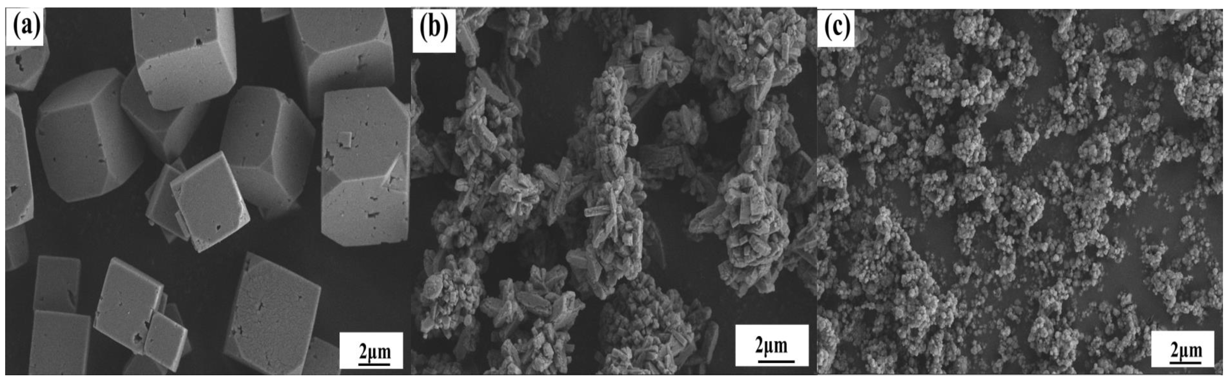 Catalysts 13 00301 g004
