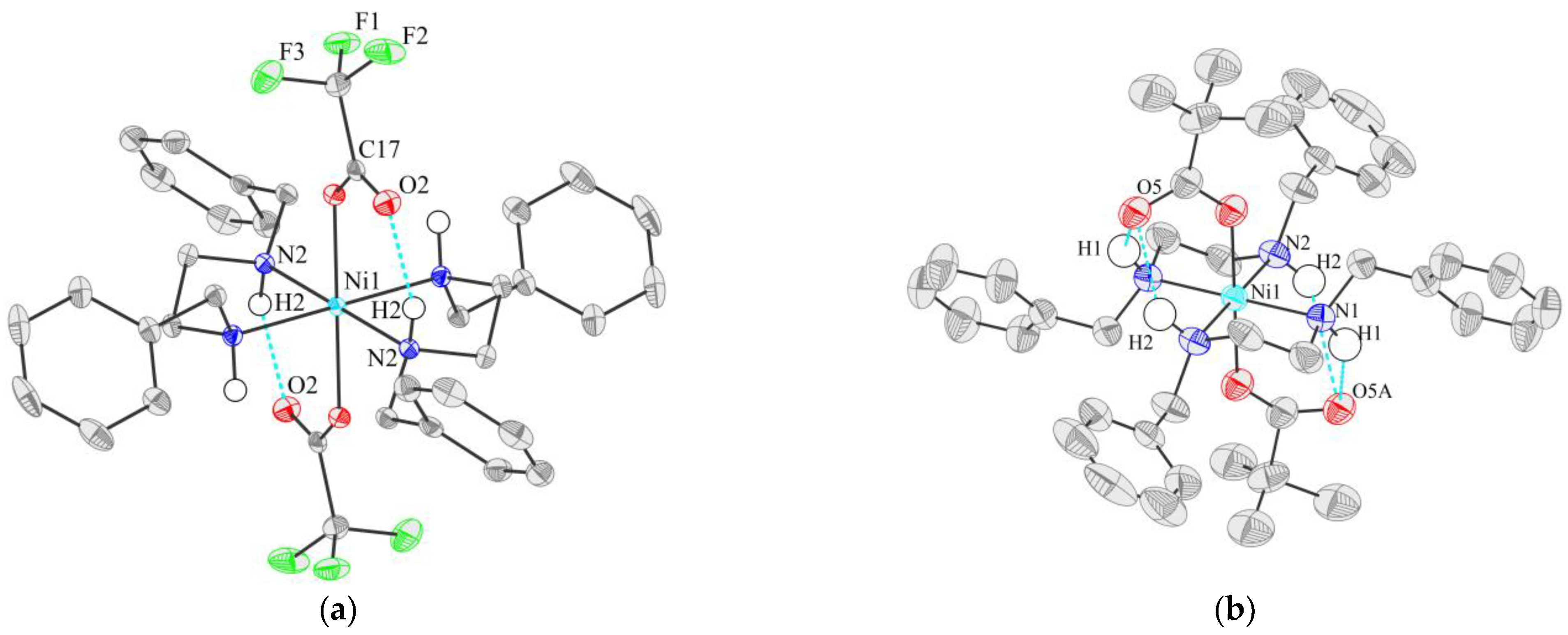 Catalysts 13 00304 g002