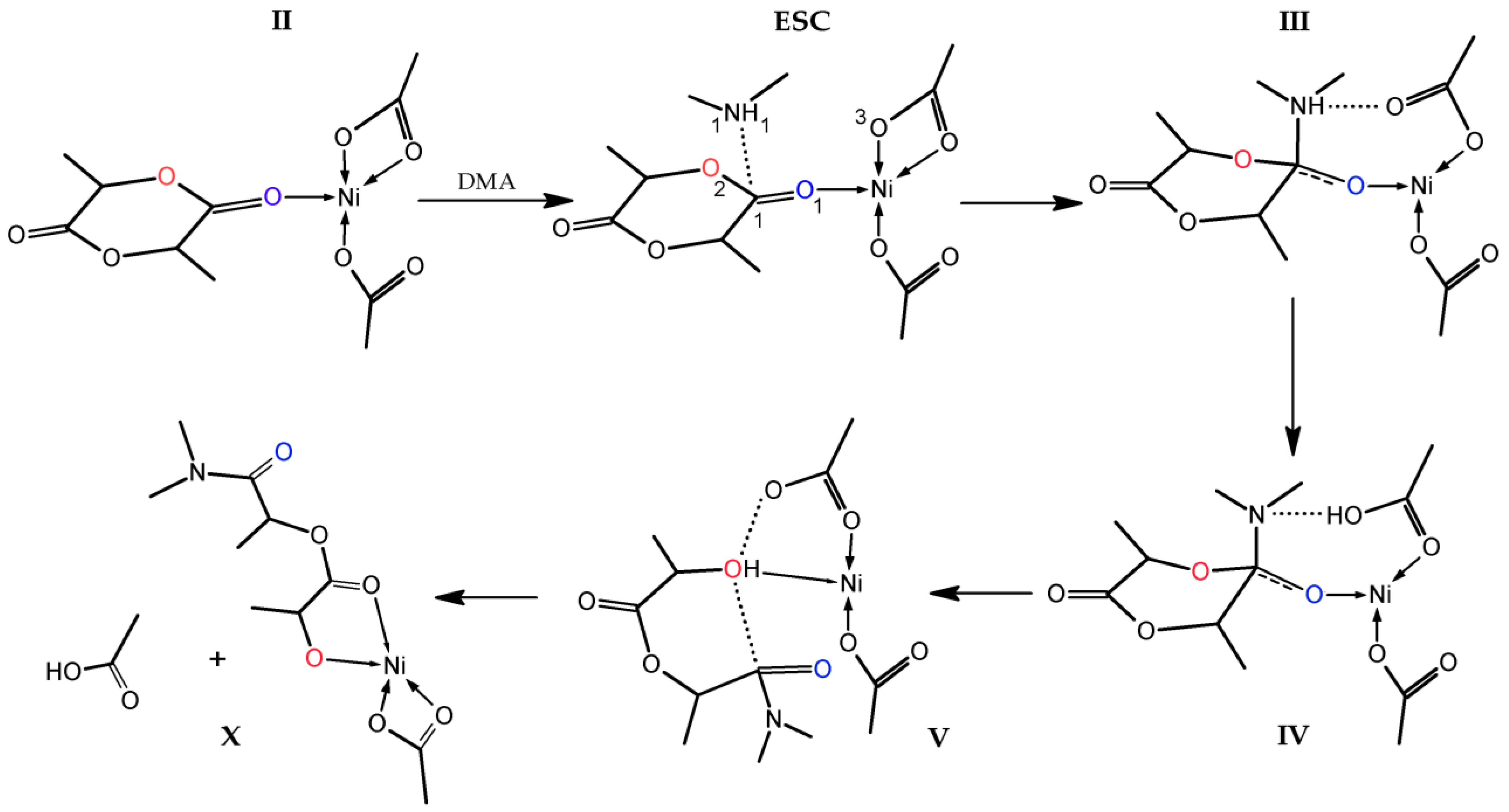 Catalysts 13 00304 g008