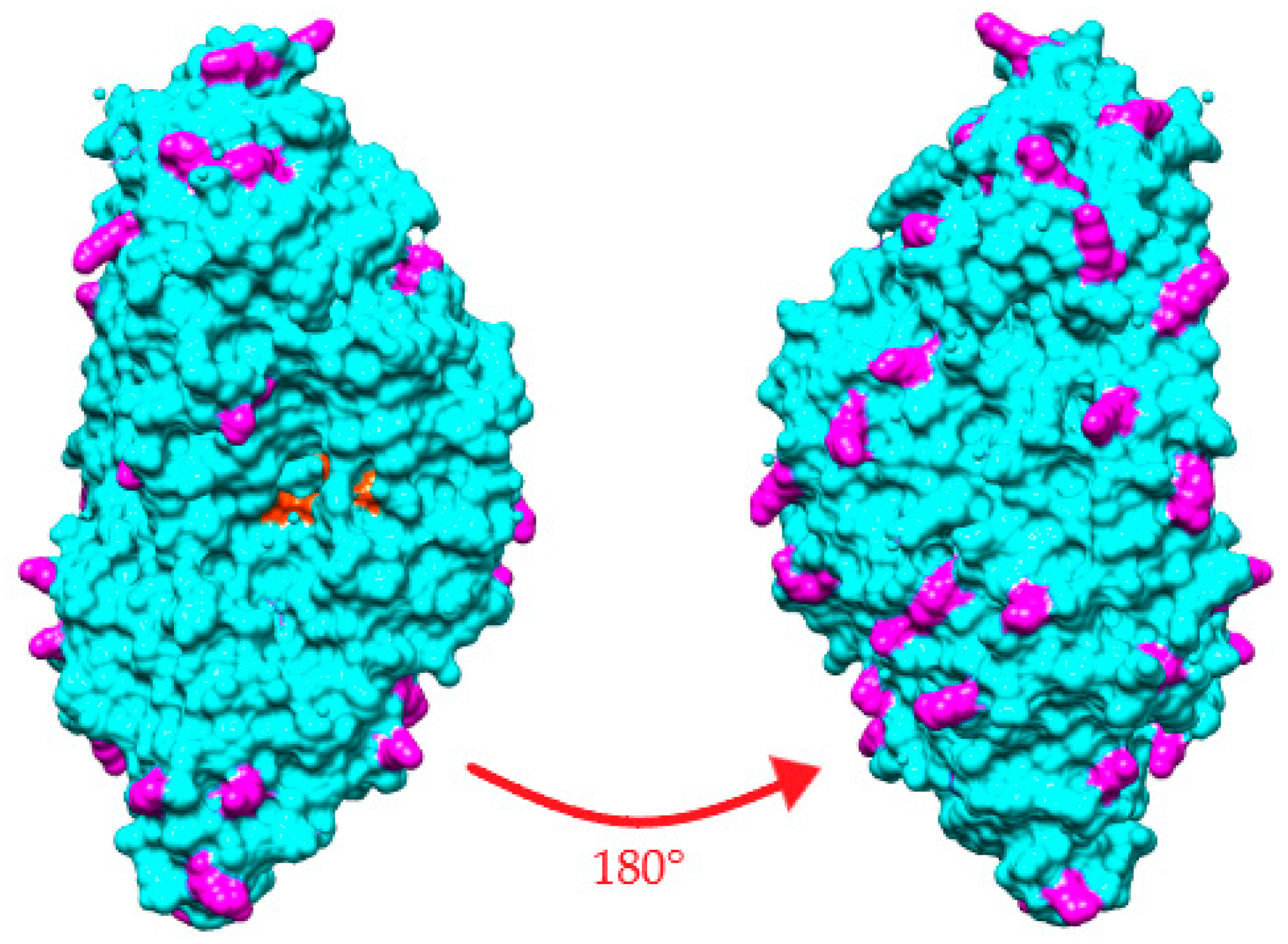 Catalysts 13 00306 g001