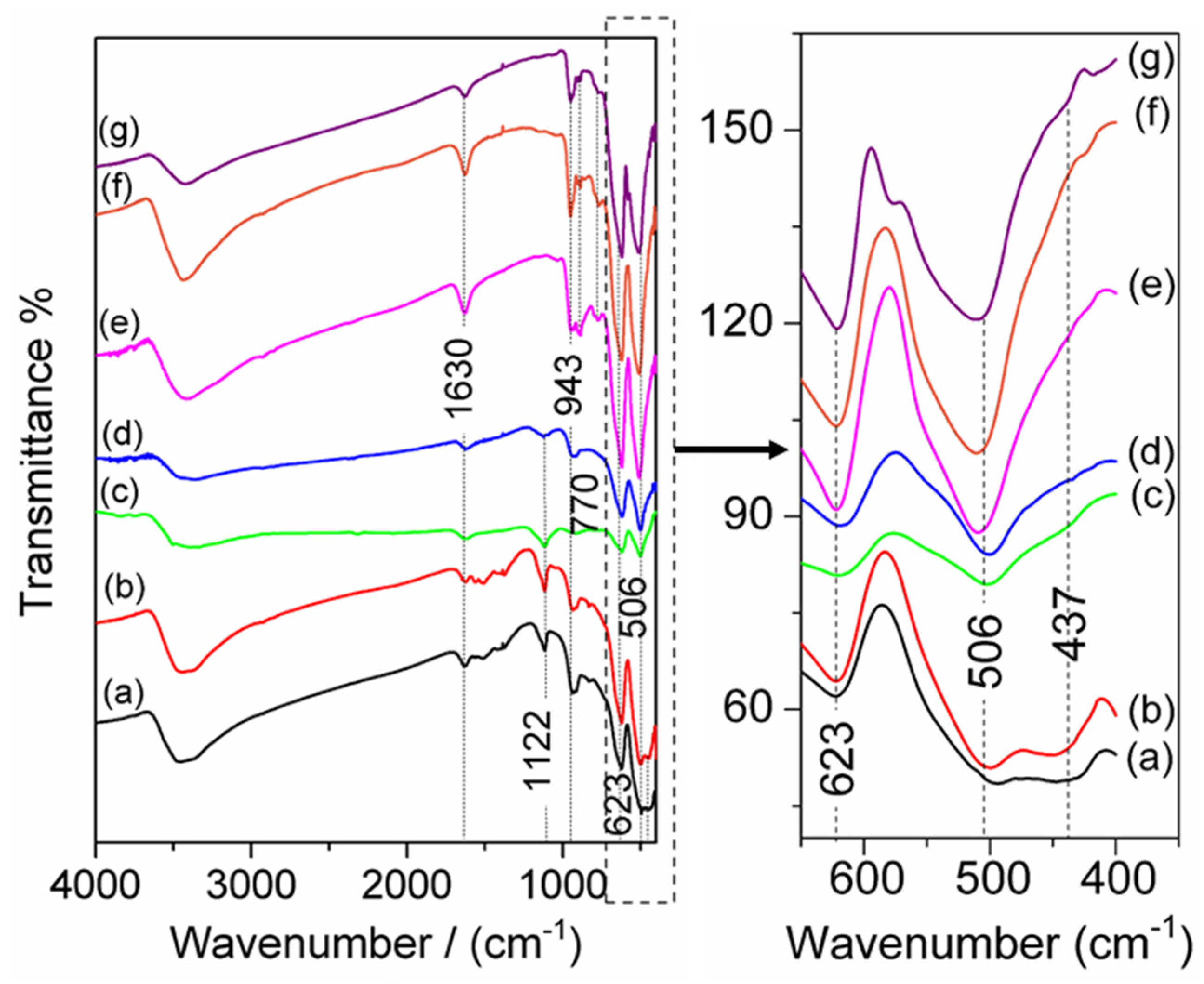 Catalysts 13 00318 g002