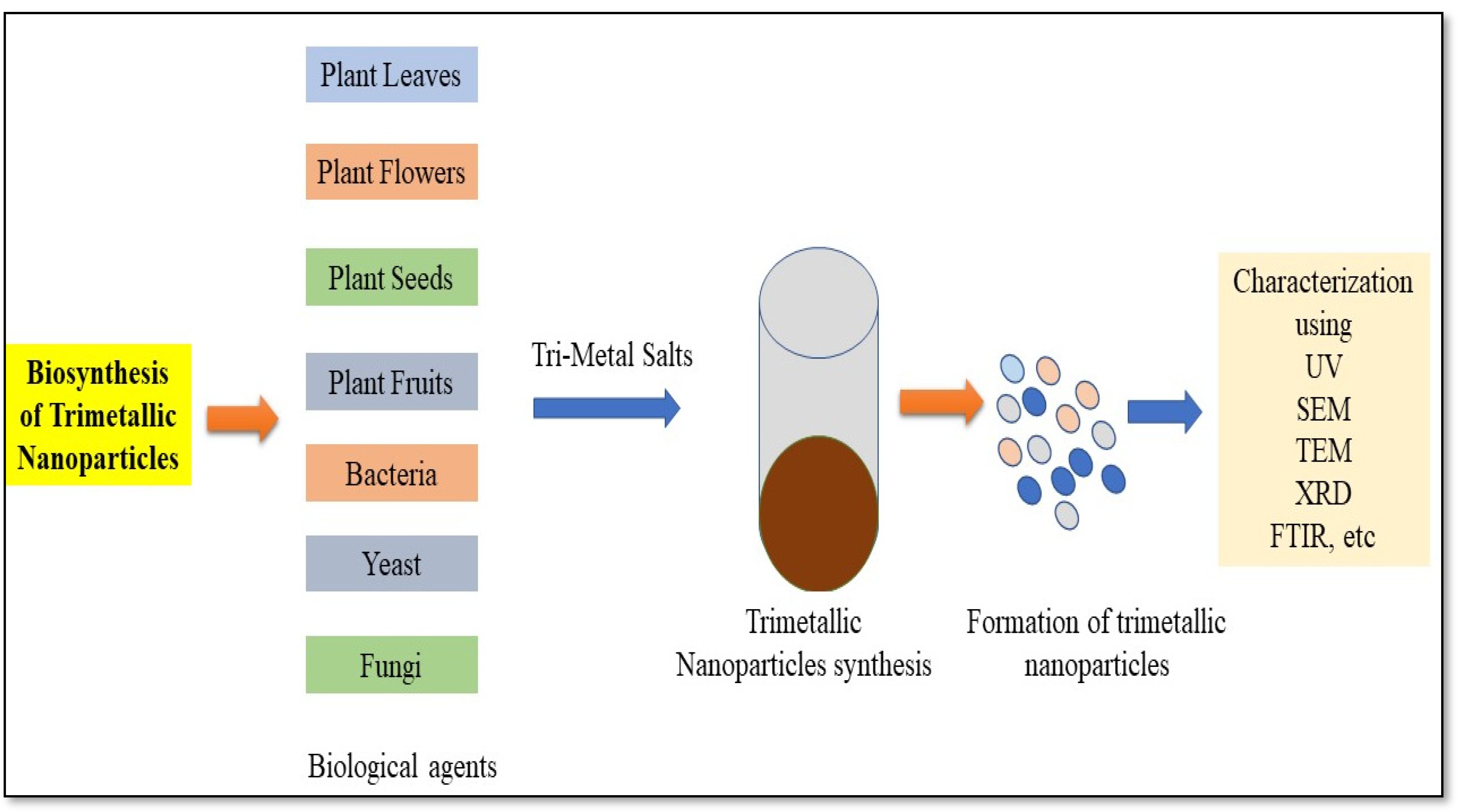 Catalysts 13 00321 g003 Catalysts 13 00321 g003