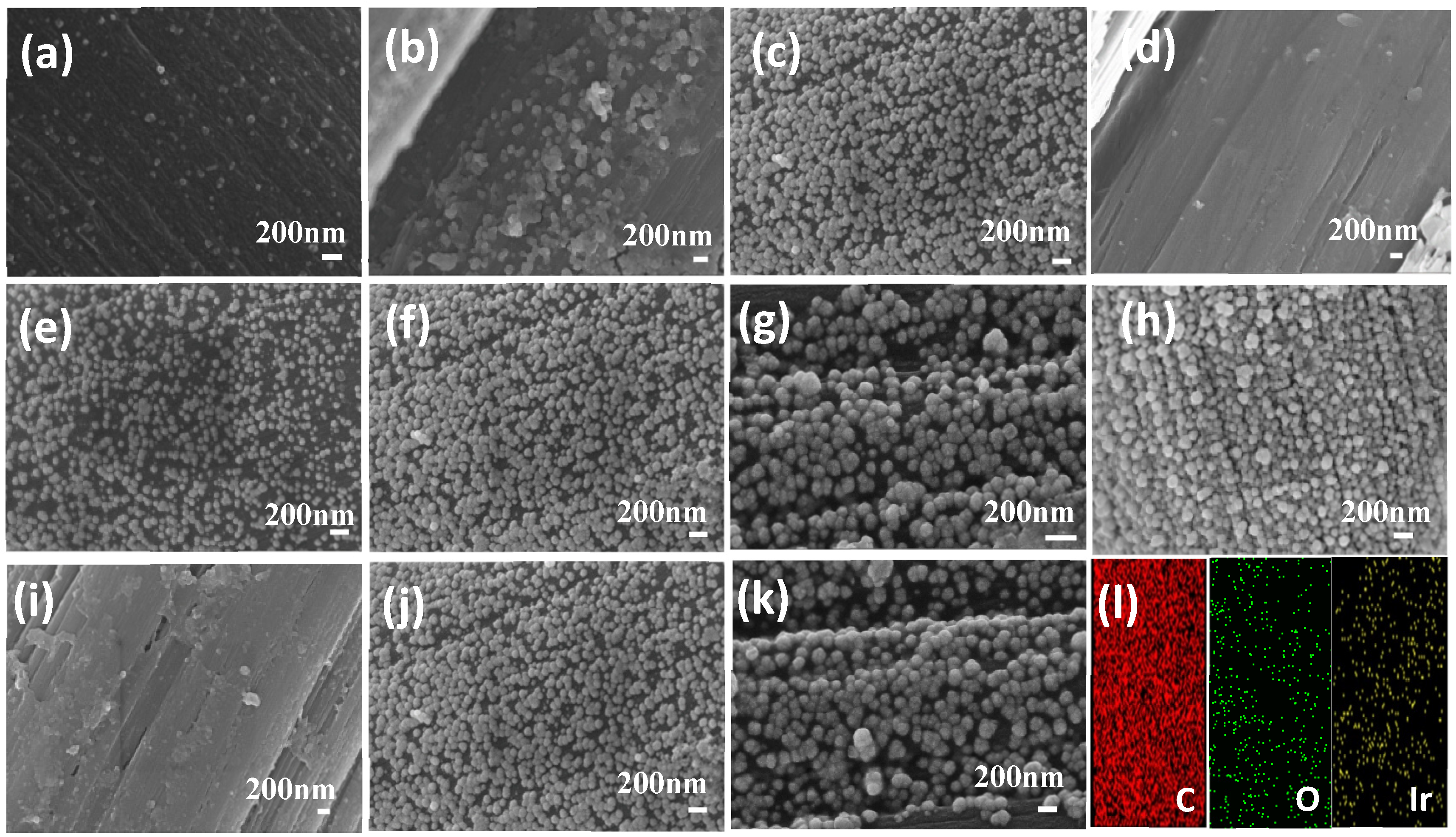 Catalysts 13 00322 g002