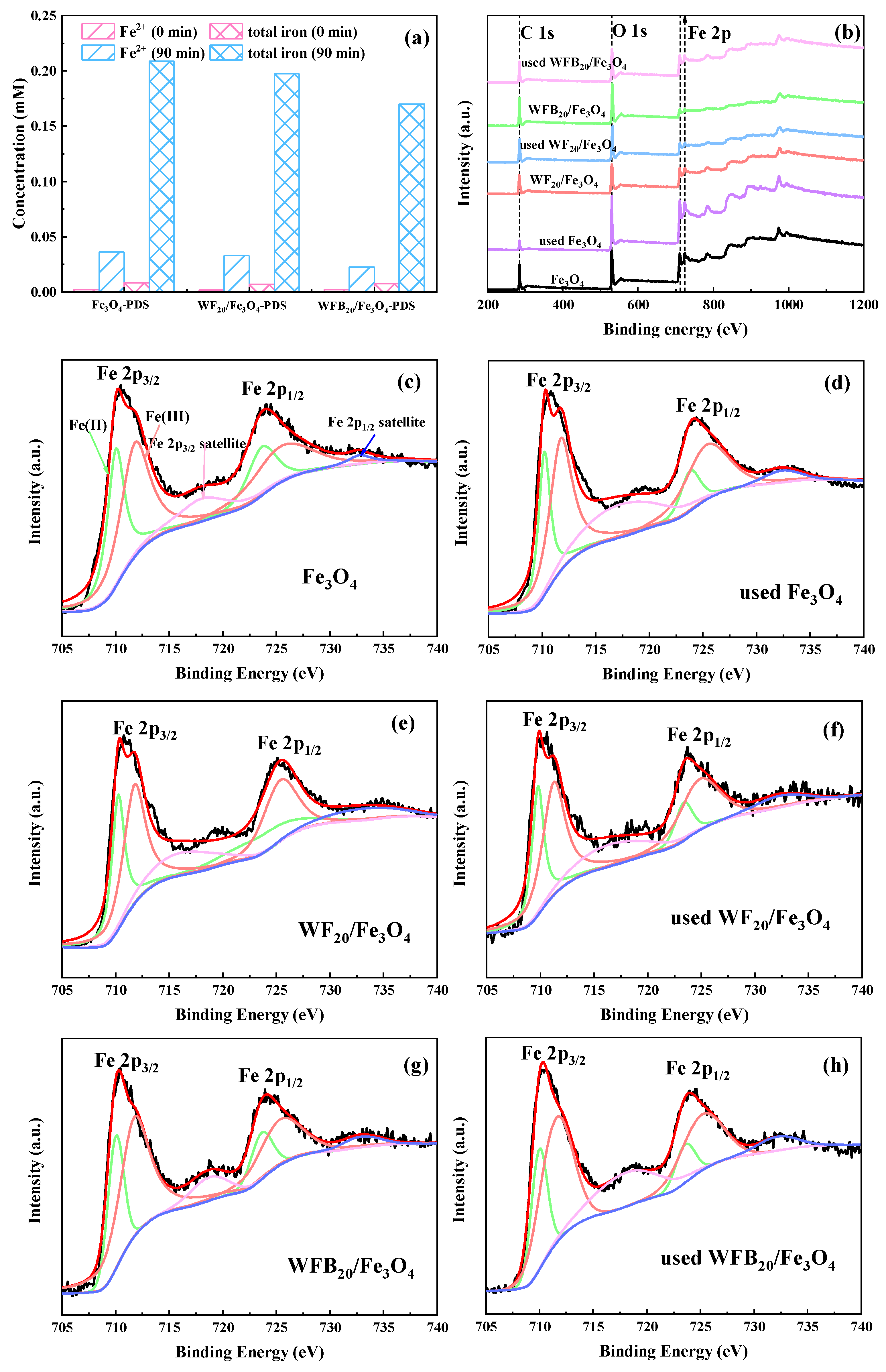 Catalysts 13 00323 g008