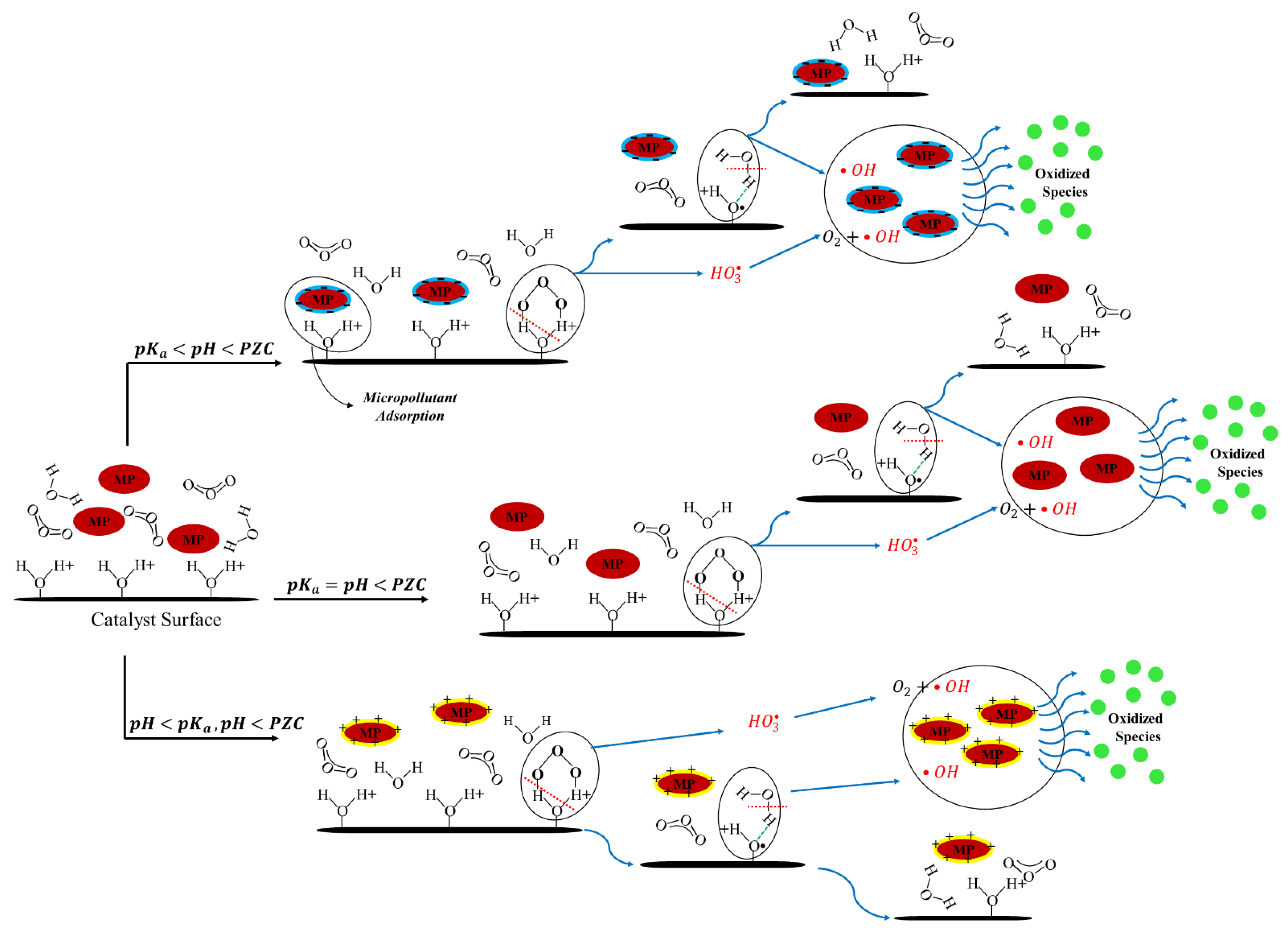 Catalysts 13 00324 g003 550