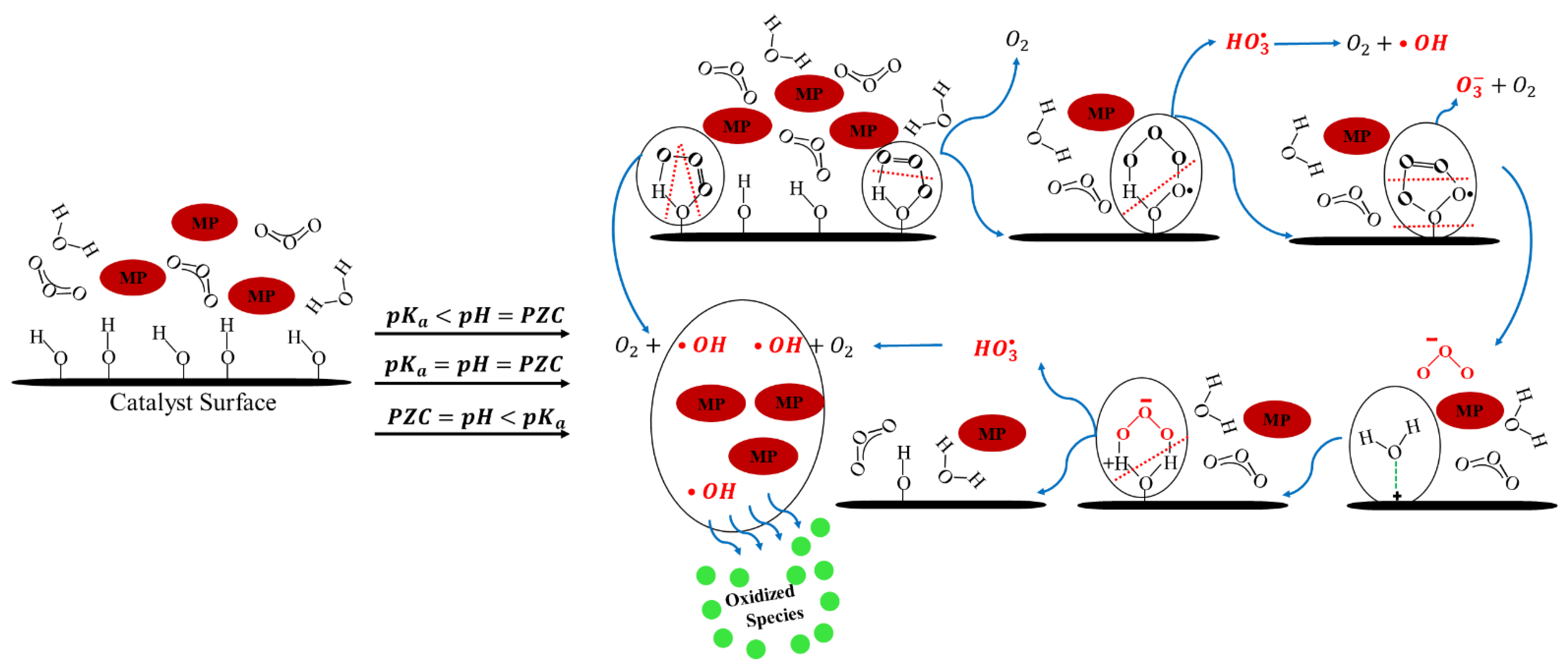 Catalysts 13 00324 g004 550