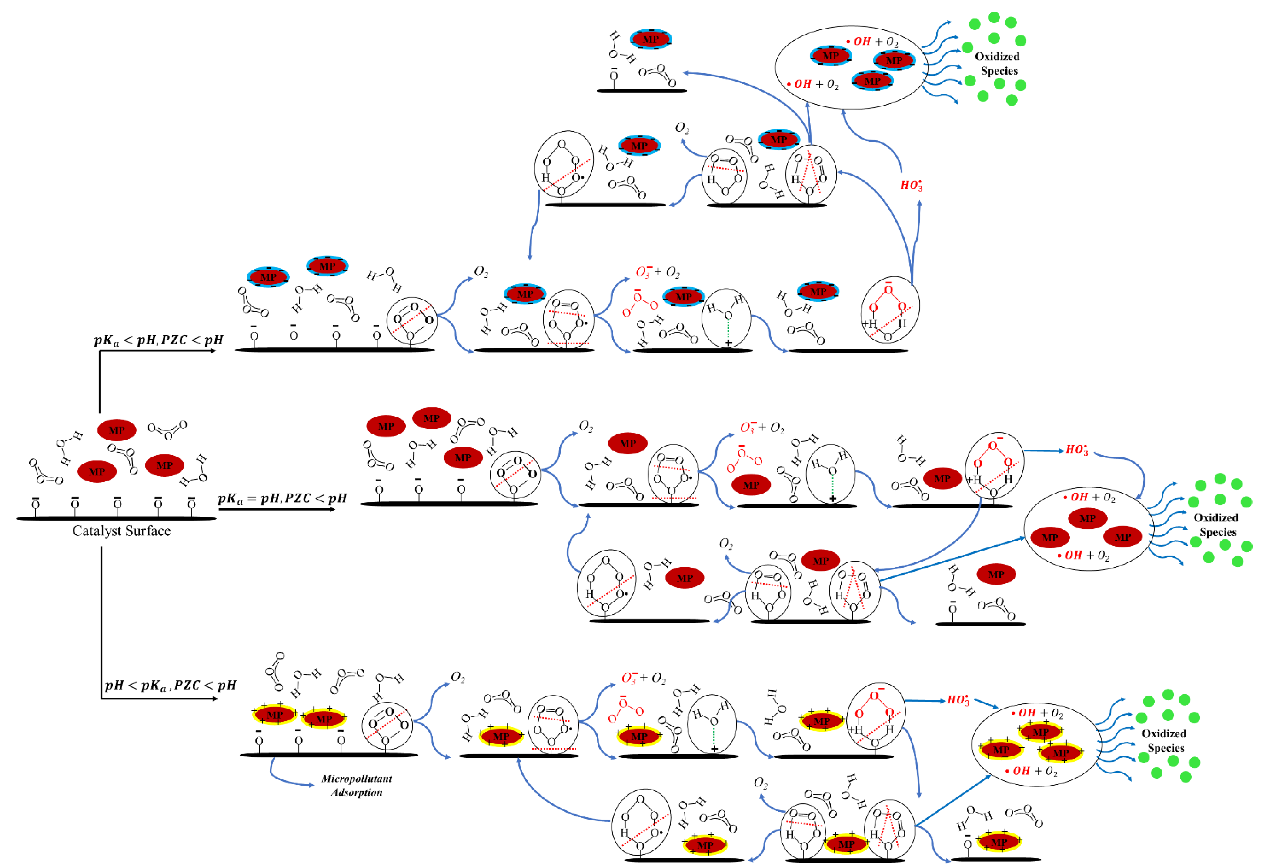 Catalysts 13 00324 g005 550