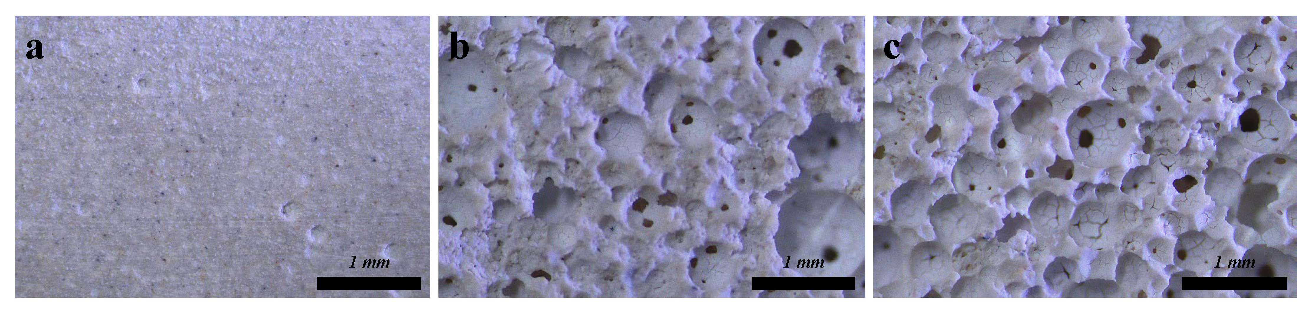 Catalysts 13 00326 g002 Catalysts 13 00326 g002