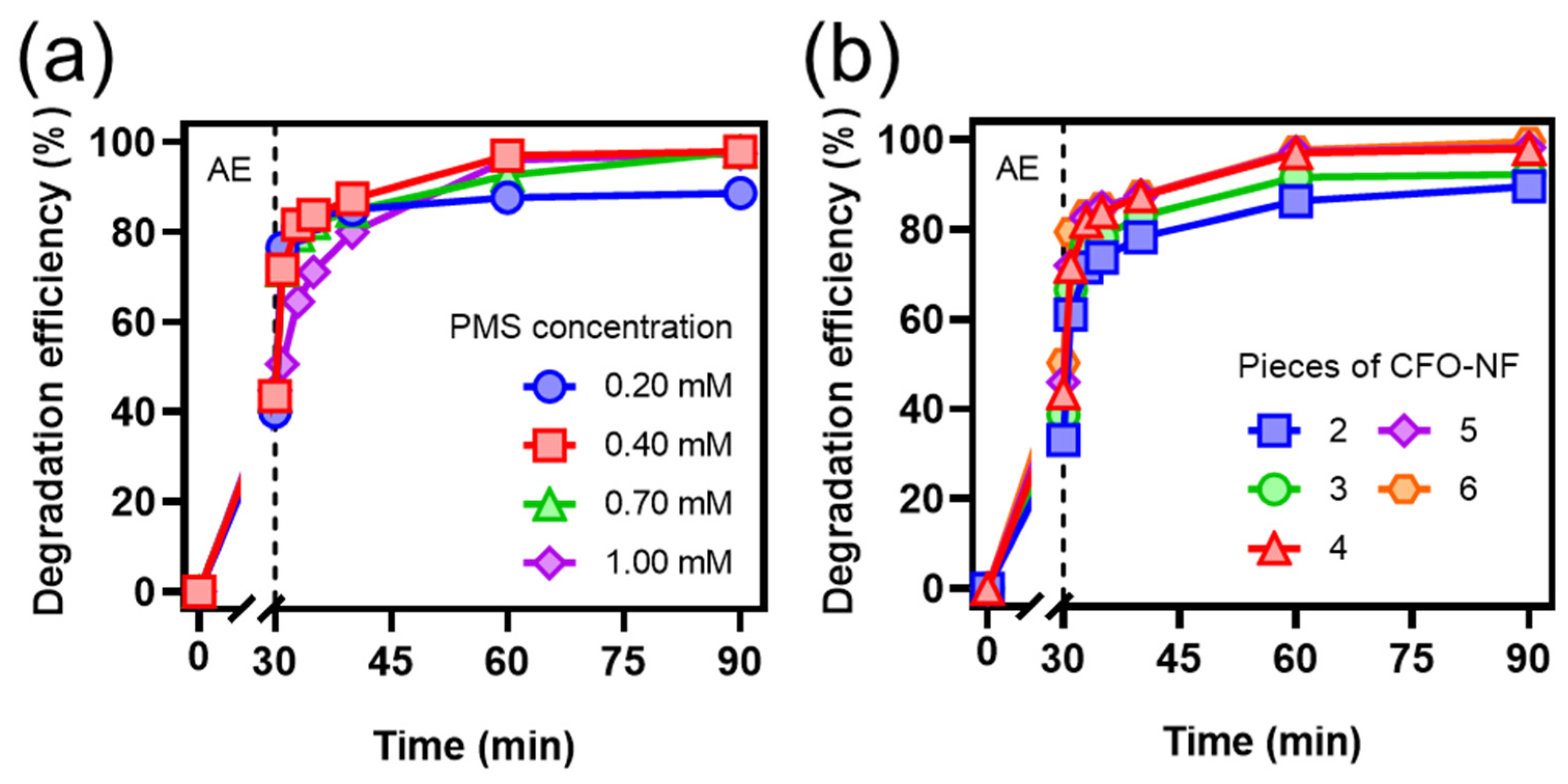 Catalysts 13 00329 g004