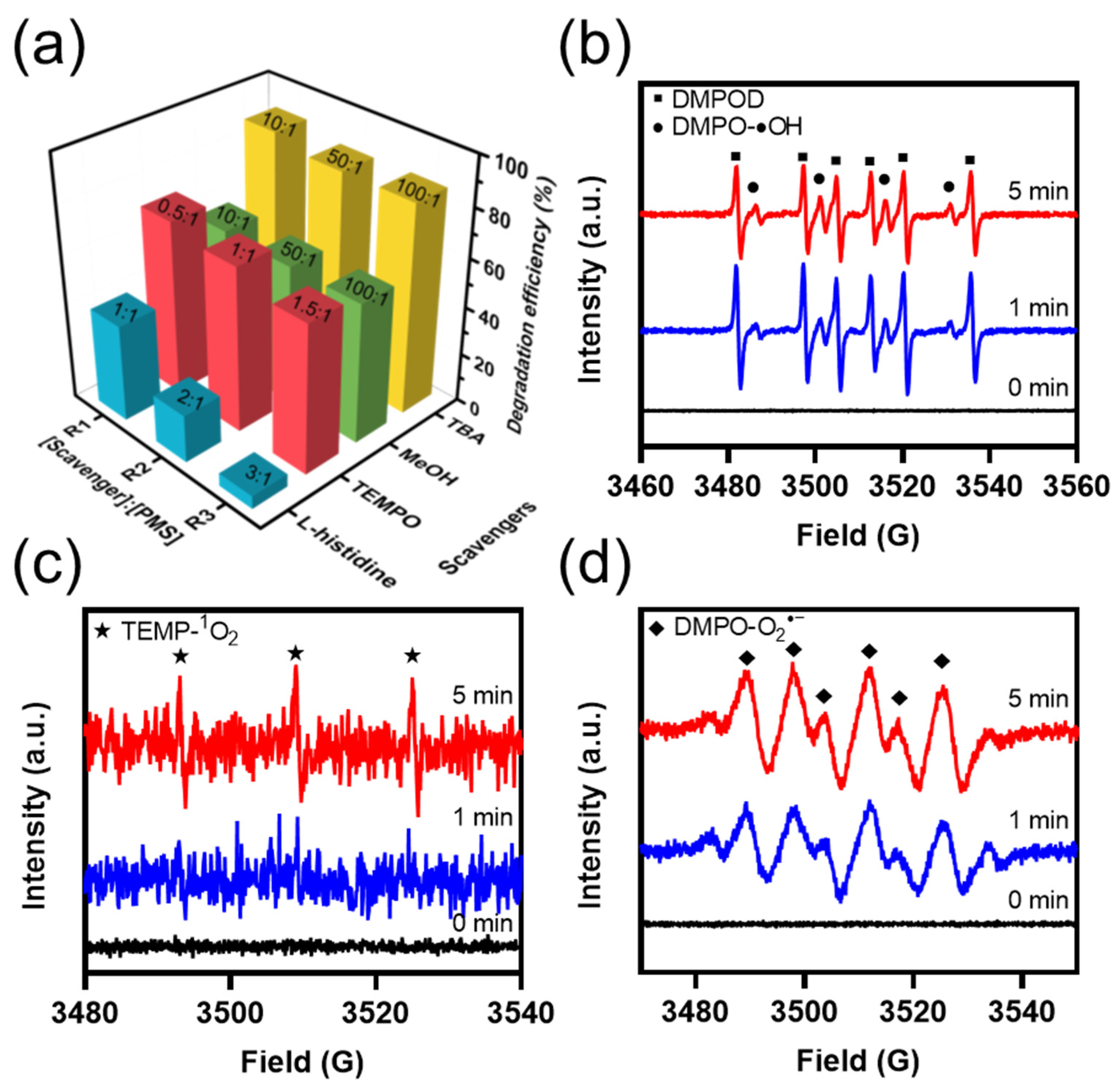 Catalysts 13 00329 g006