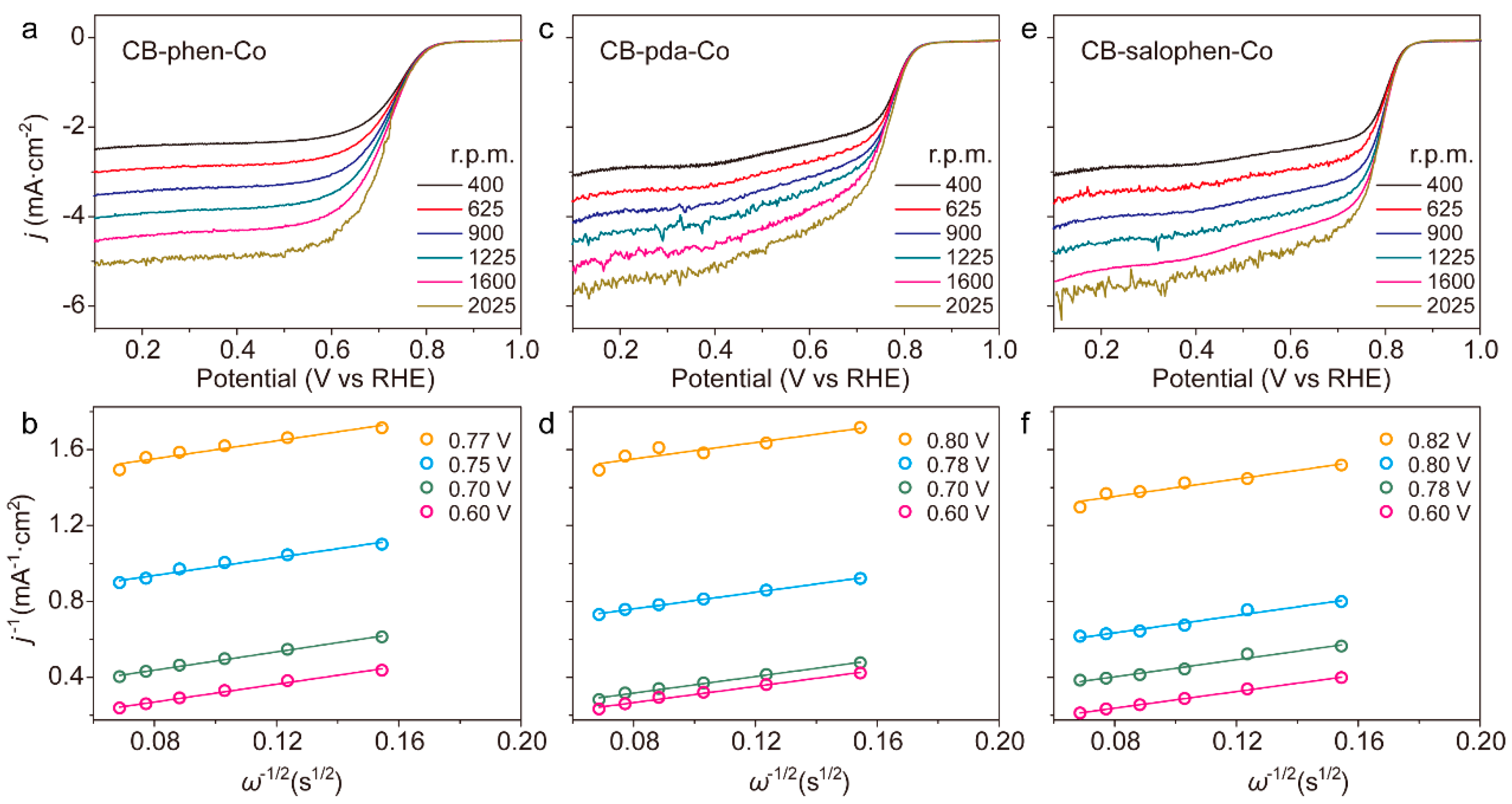Catalysts 13 00330 g006