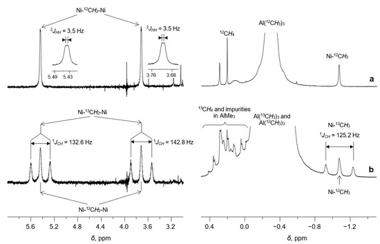 New Neutral Nickel and Palladium Sandwich Catalysts: Synthesis of