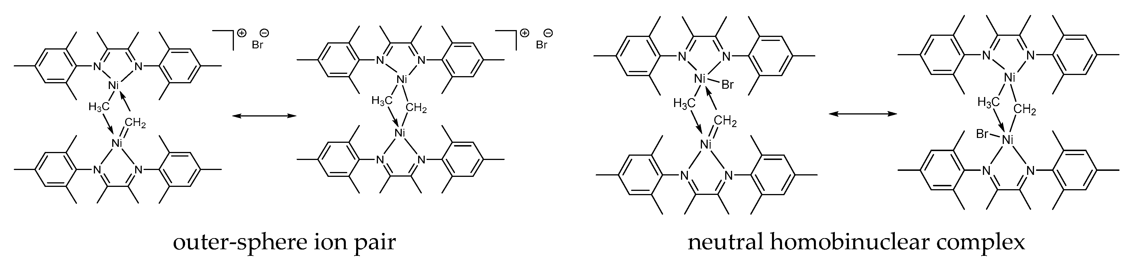 Catalysts 13 00333 g006