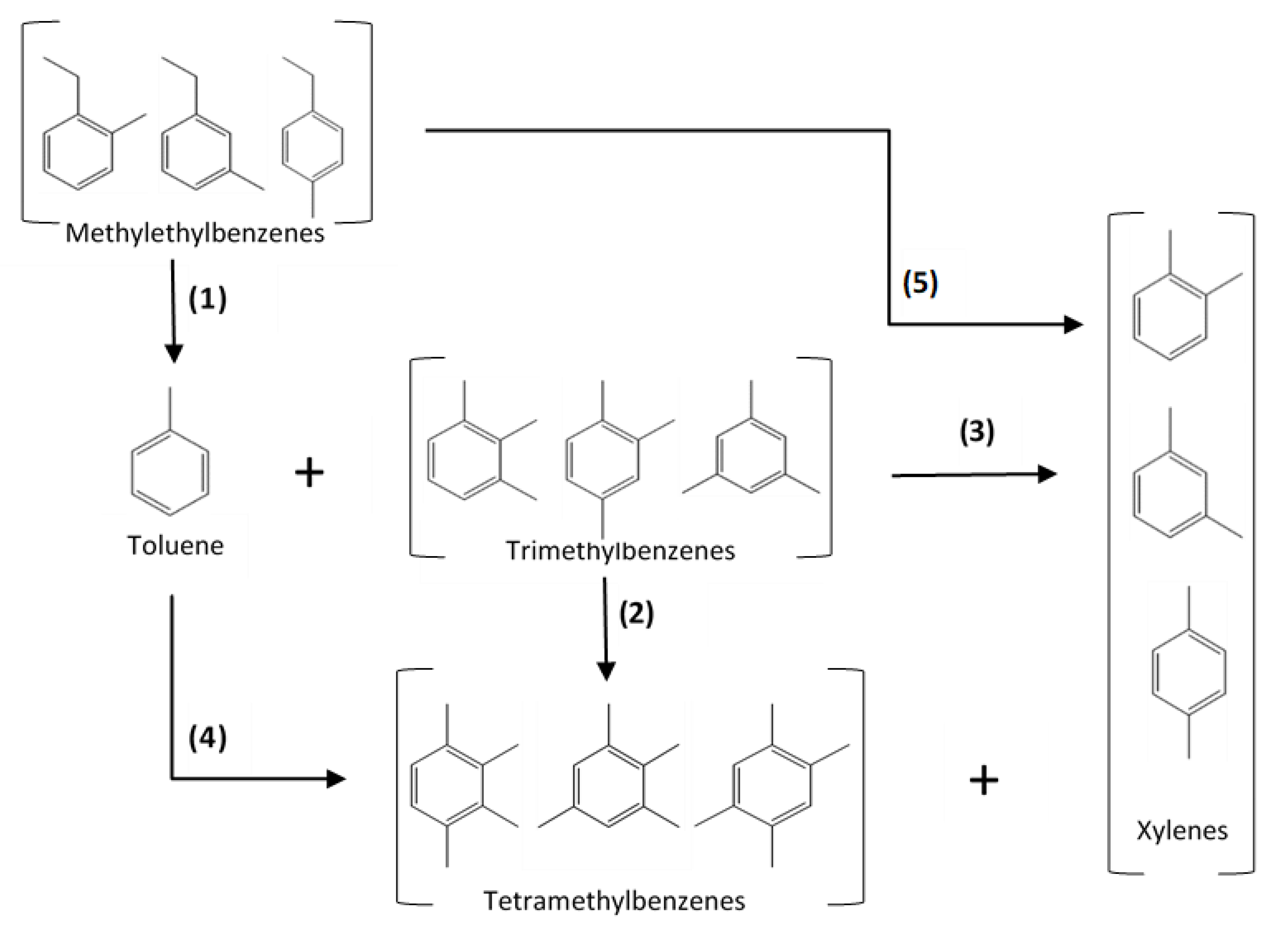 Catalysts 13 00335 g003 550