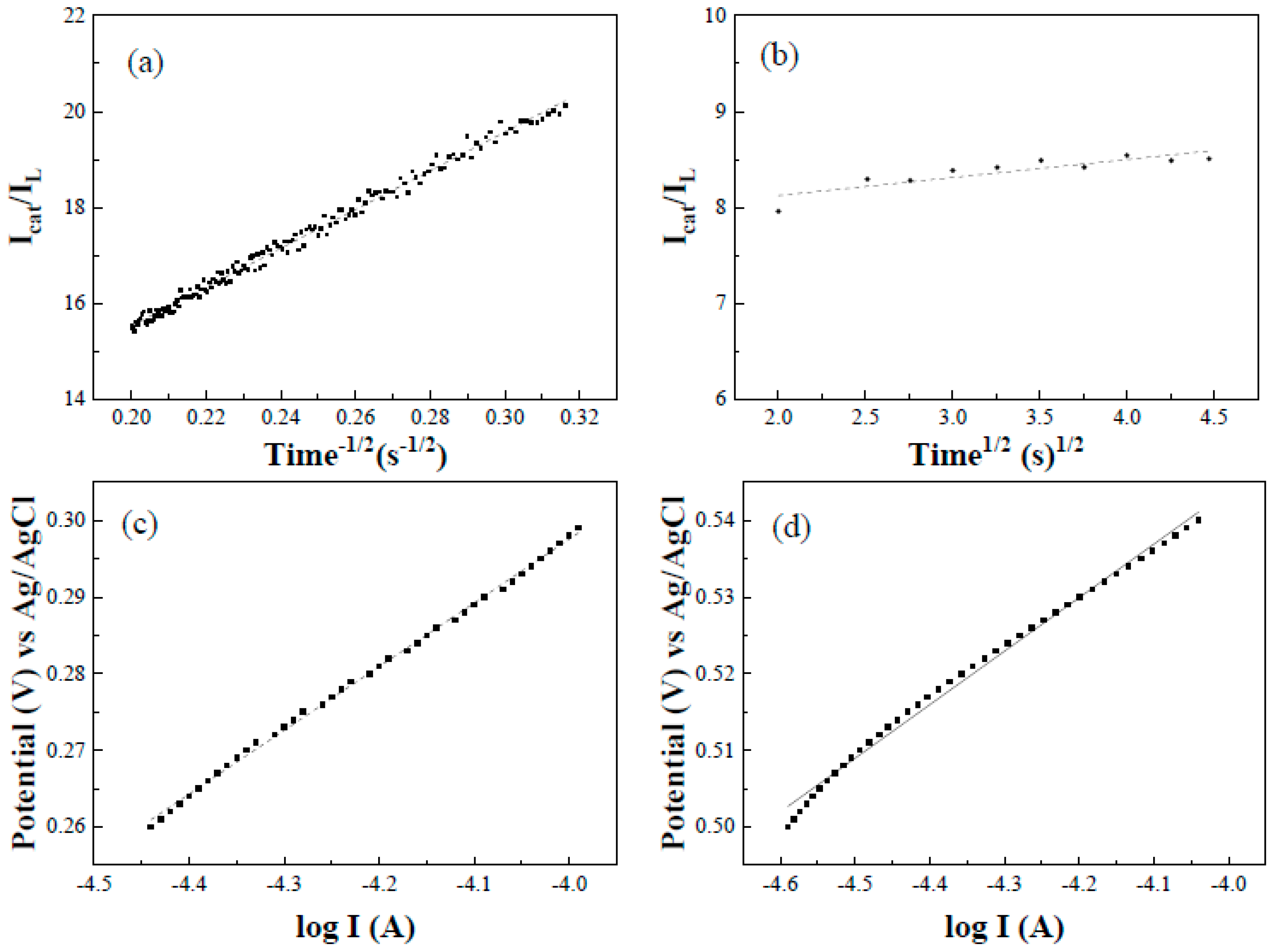 Catalysts 13 00337 g012