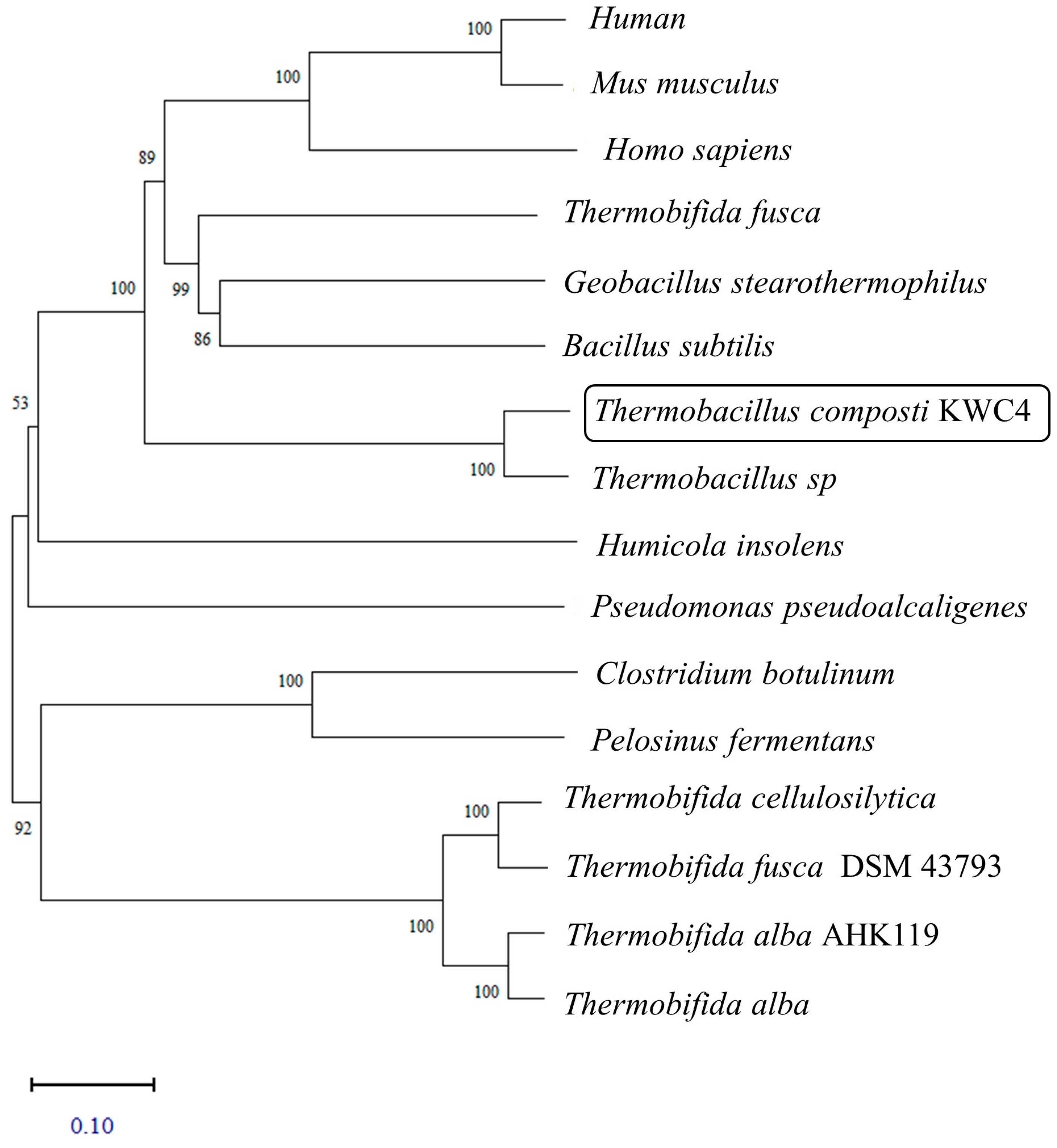 Catalysts 13 00340 g001 Catalysts 13 00340 g001