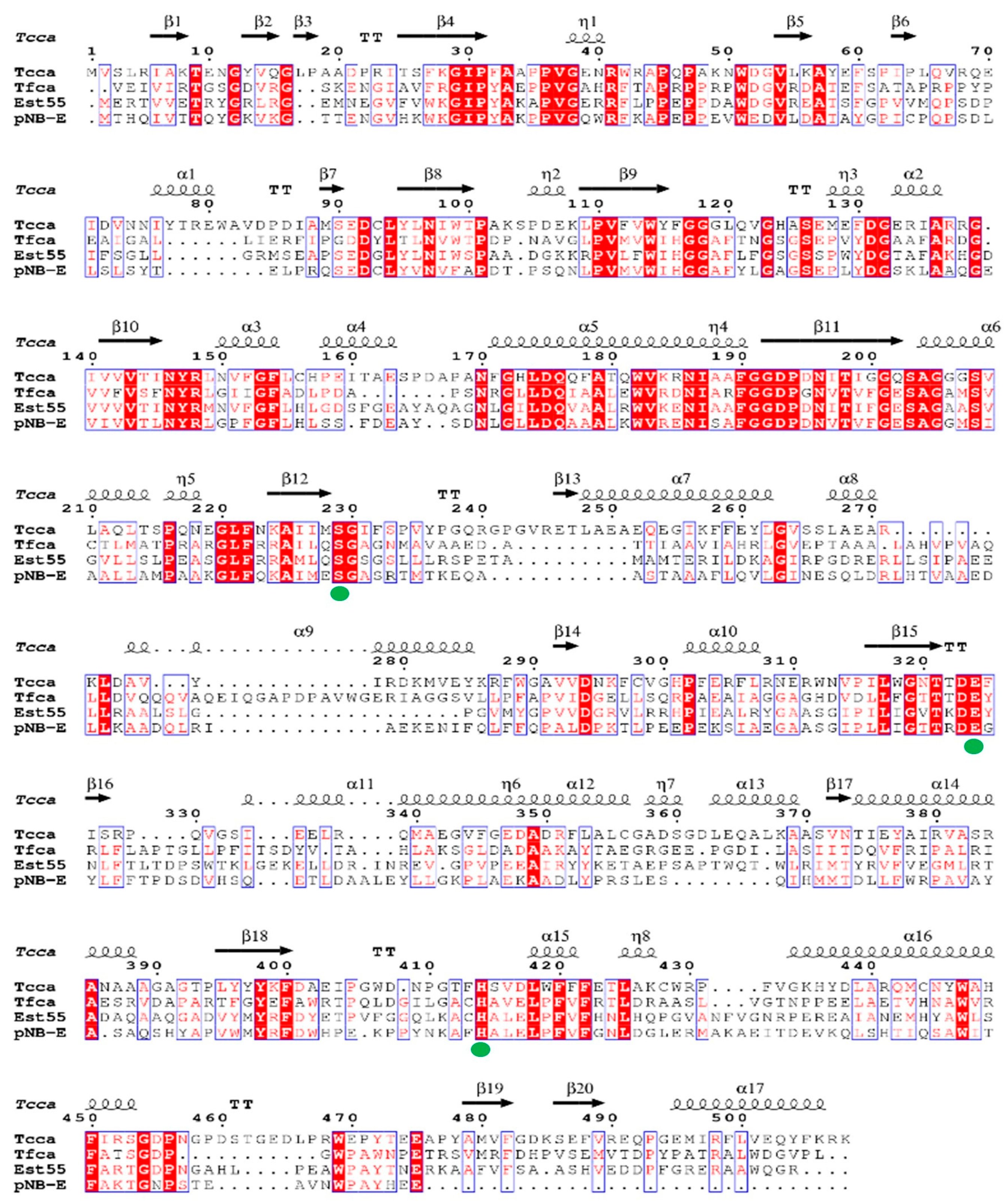 Catalysts 13 00340 g002 Catalysts 13 00340 g002