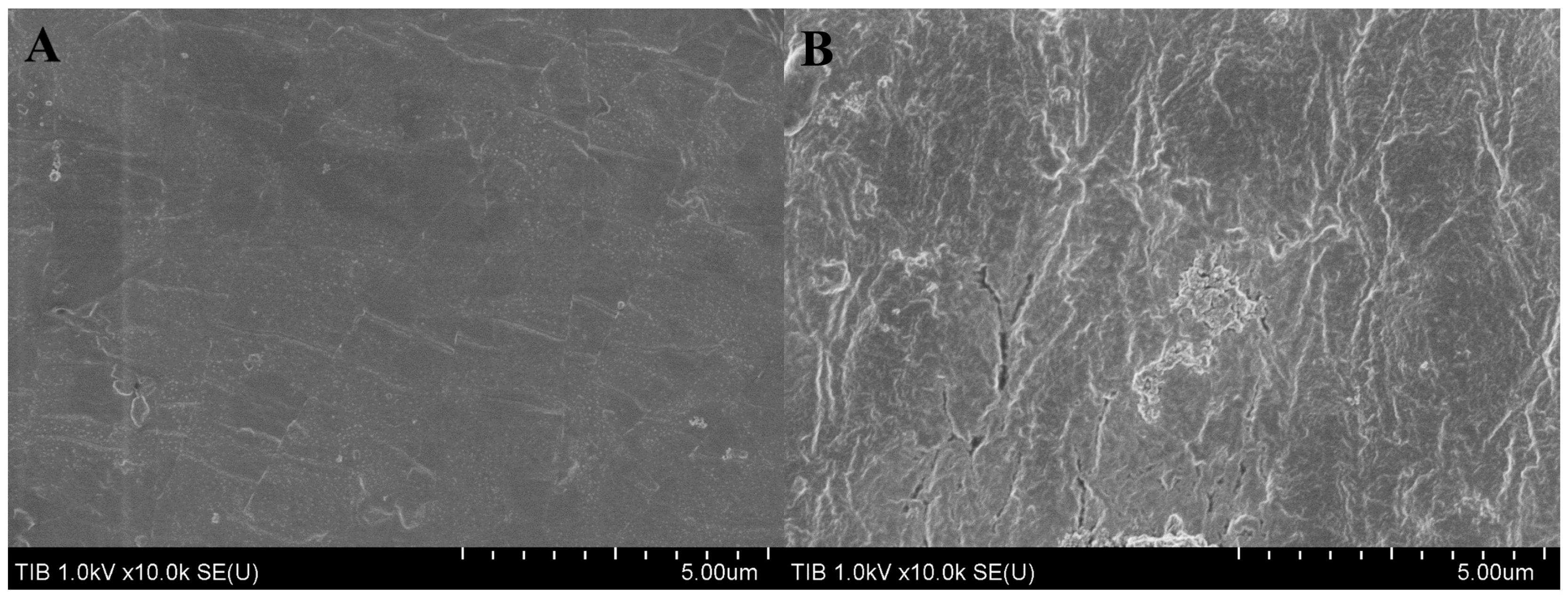 Catalysts 13 00340 g004 Catalysts 13 00340 g004