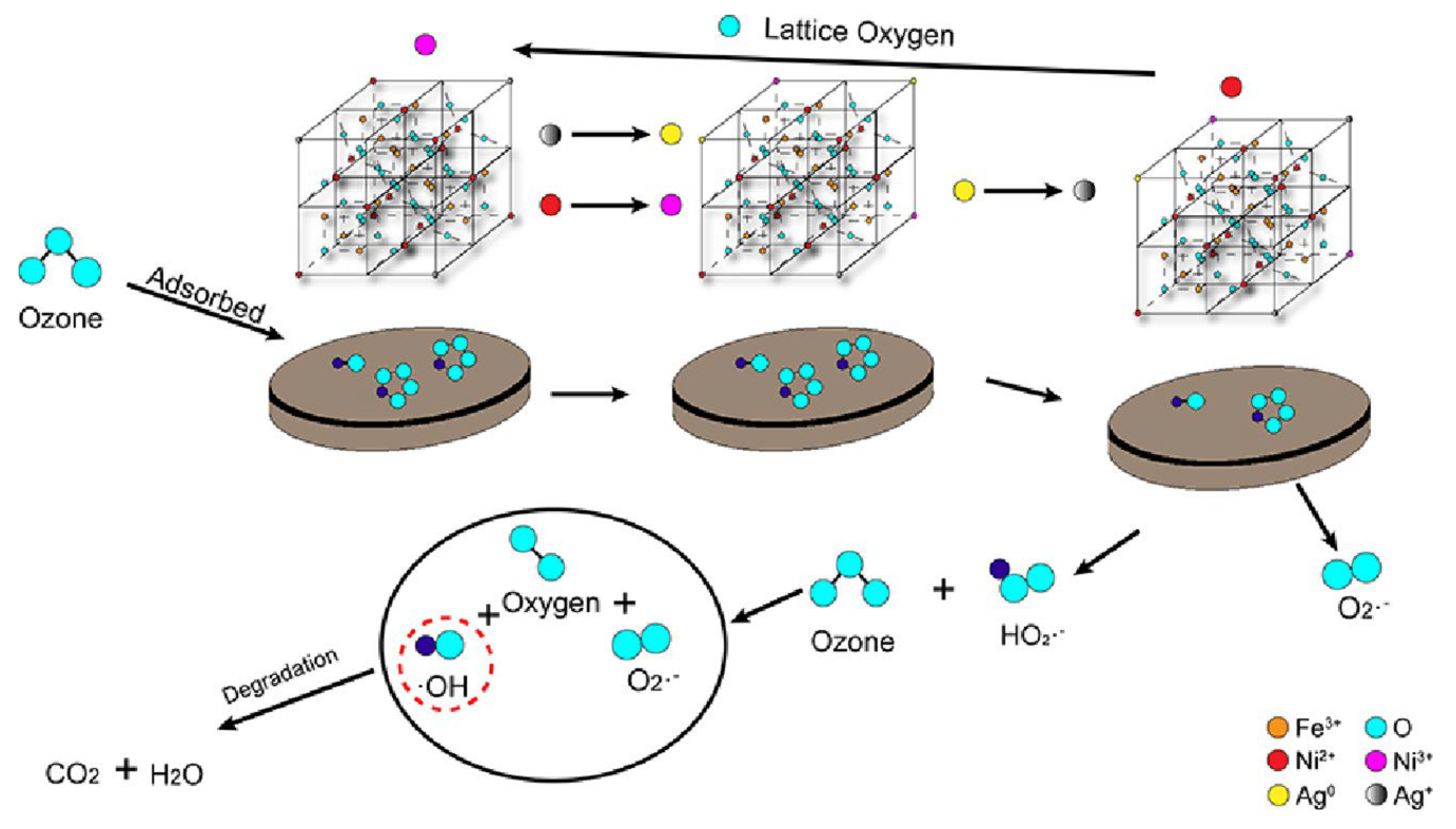 Catalysts 13 00342 g007
