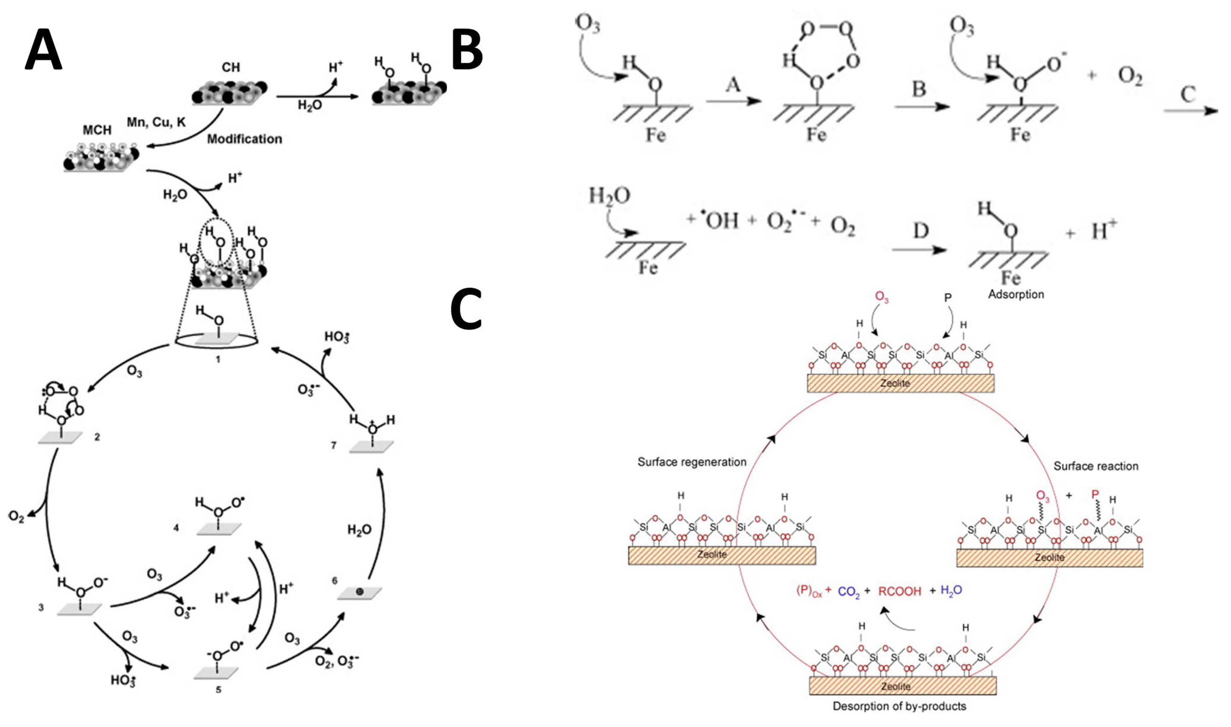 Catalysts 13 00342 g008