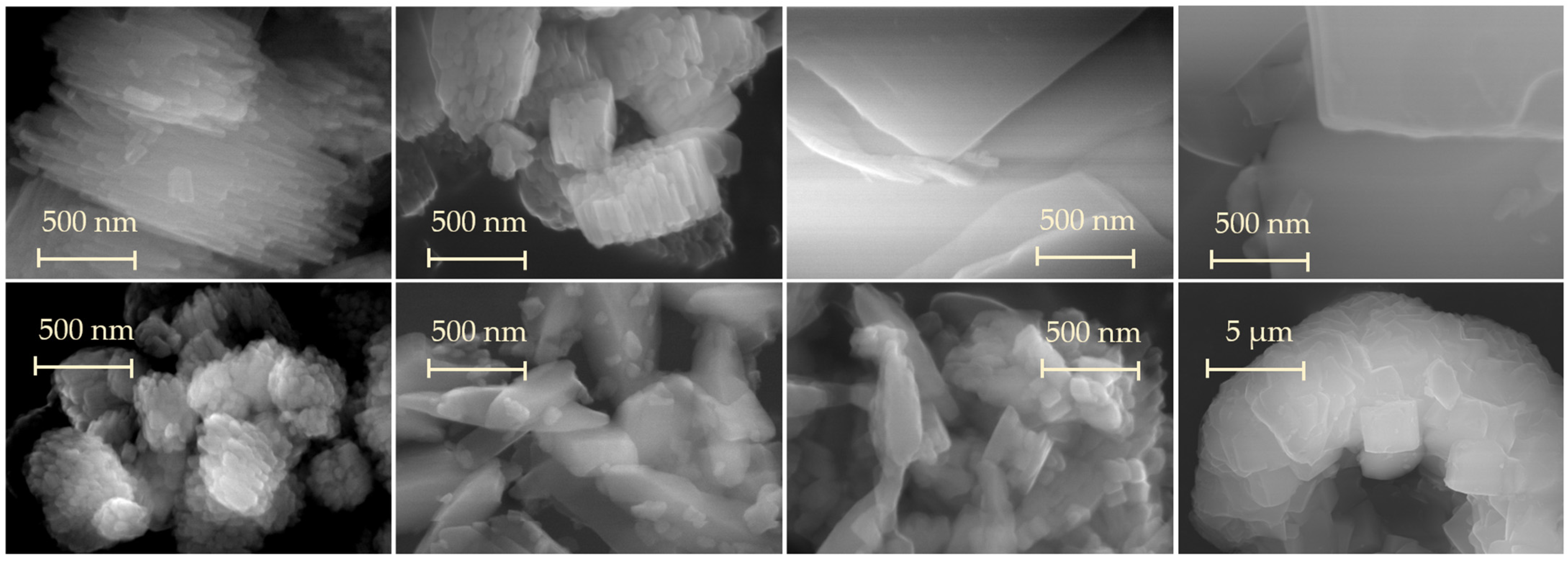 Catalysts 13 00344 g002 Catalysts 13 00344 g002