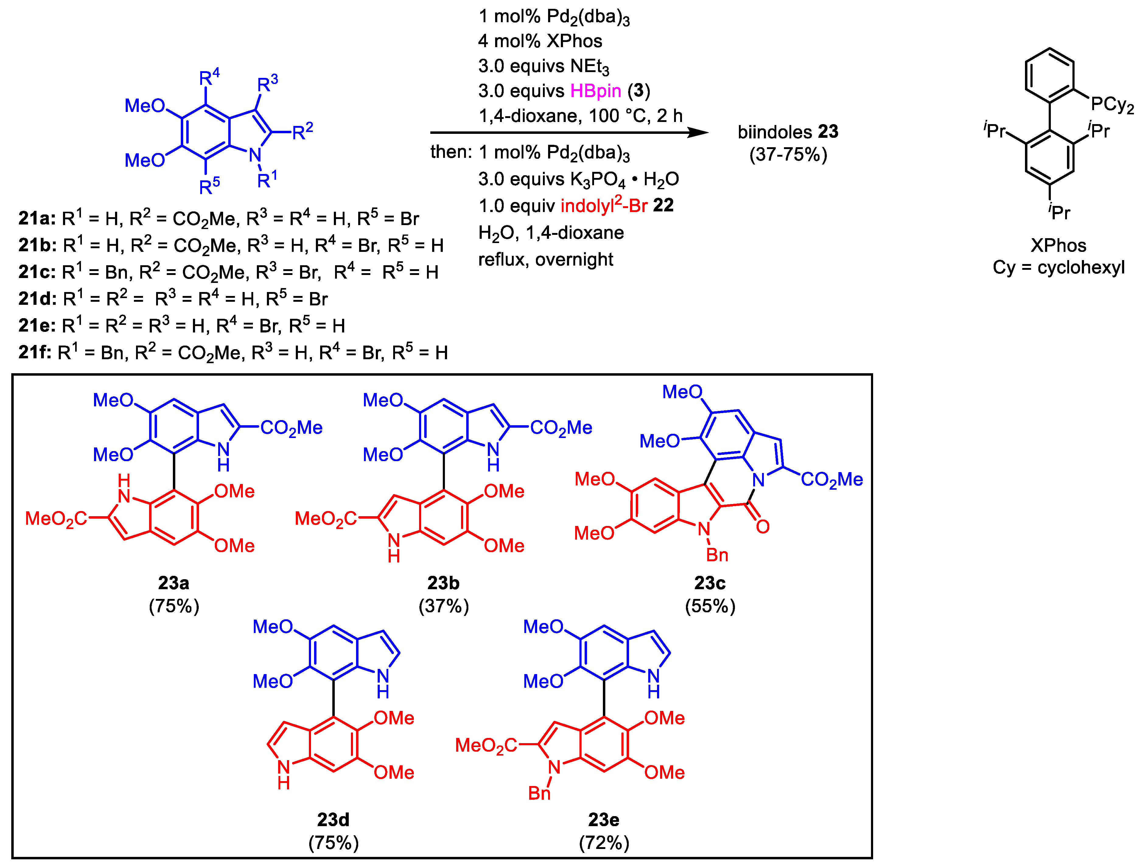Catalysts 13 00350 g014