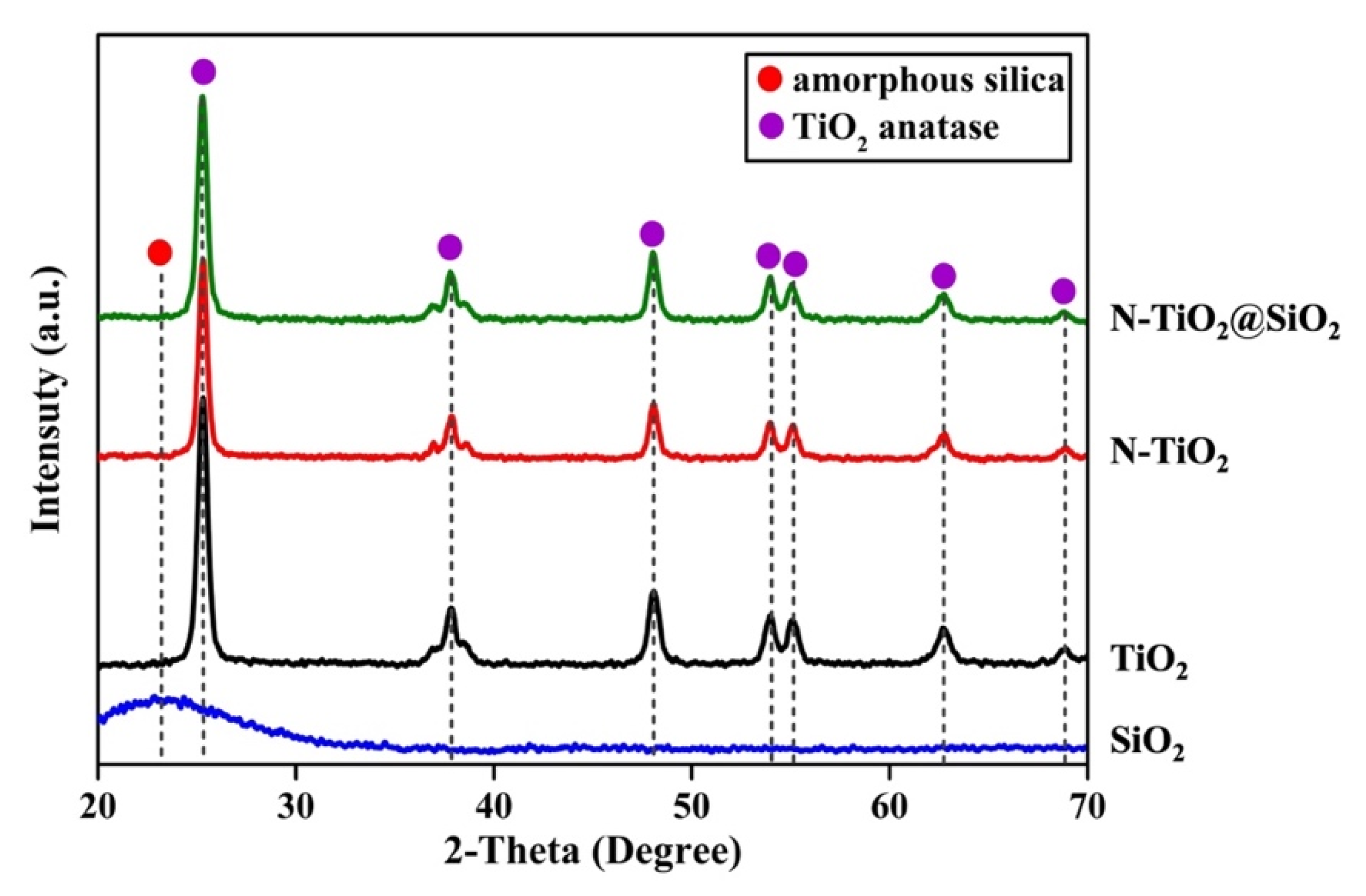 Catalysts 13 00351 g001